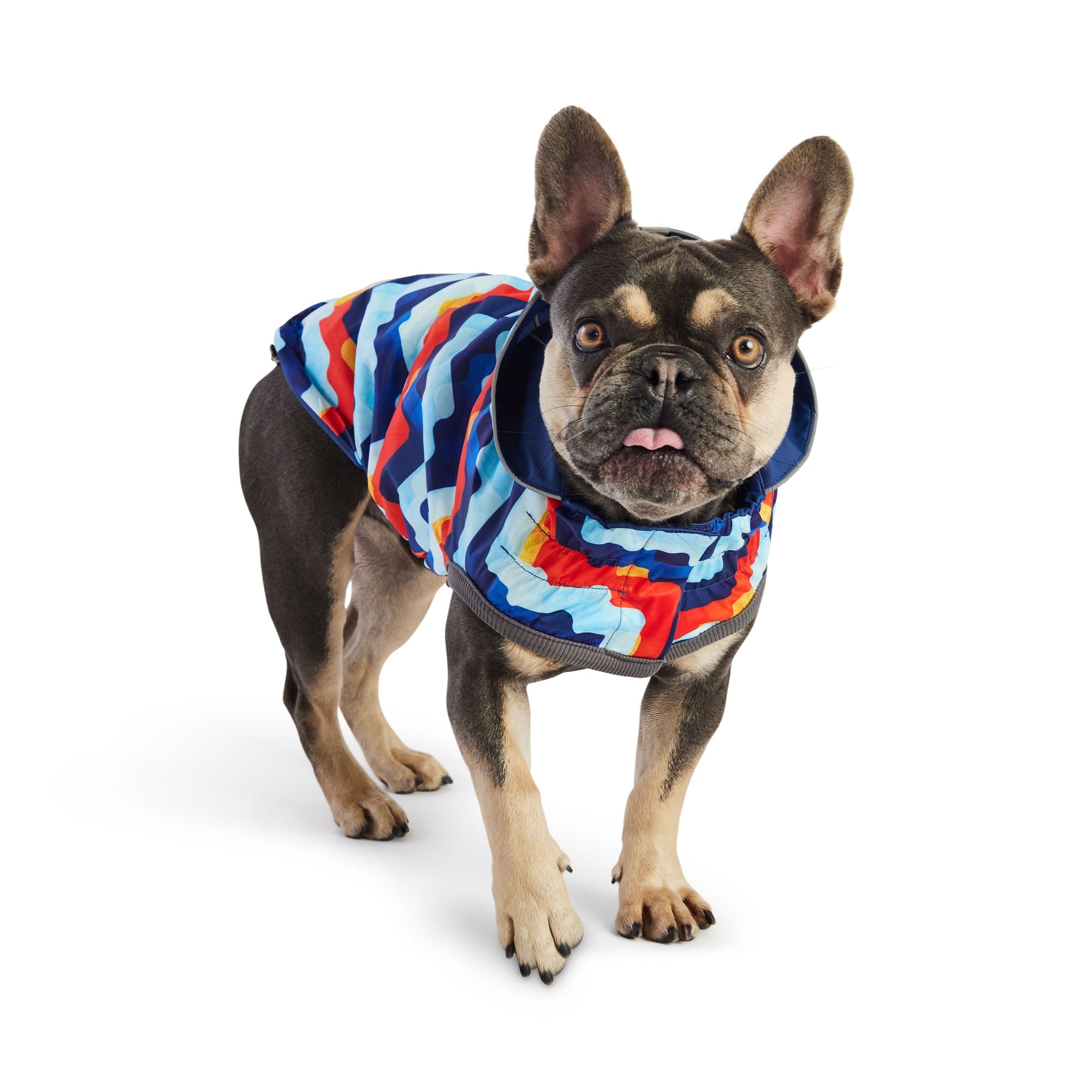 GF PET® Elasto-FIT® Reversible Waterproof Dog Raincoat - Navy/Navy