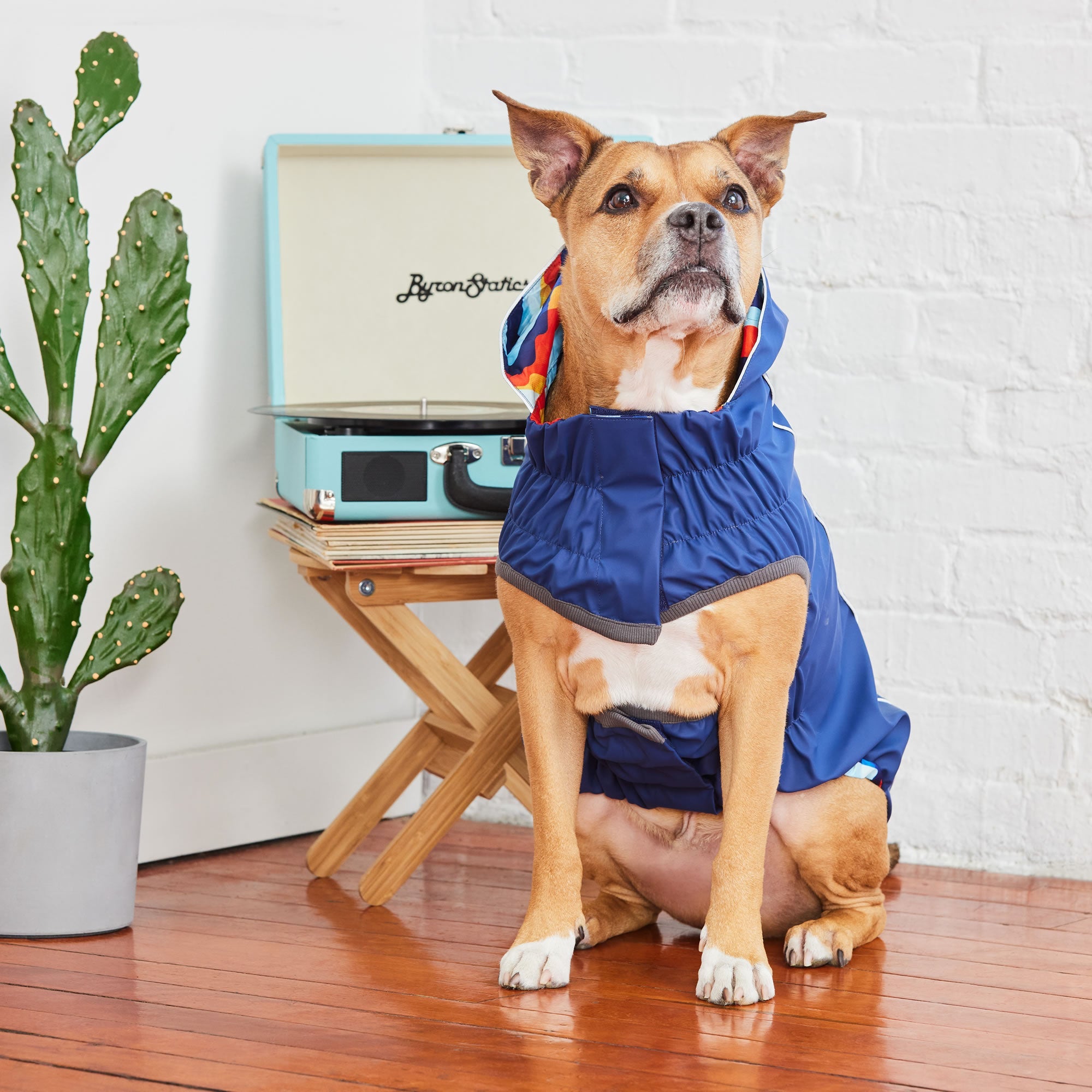 GF PET® Elasto-FIT® Reversible Waterproof Dog Raincoat - Navy/Navy