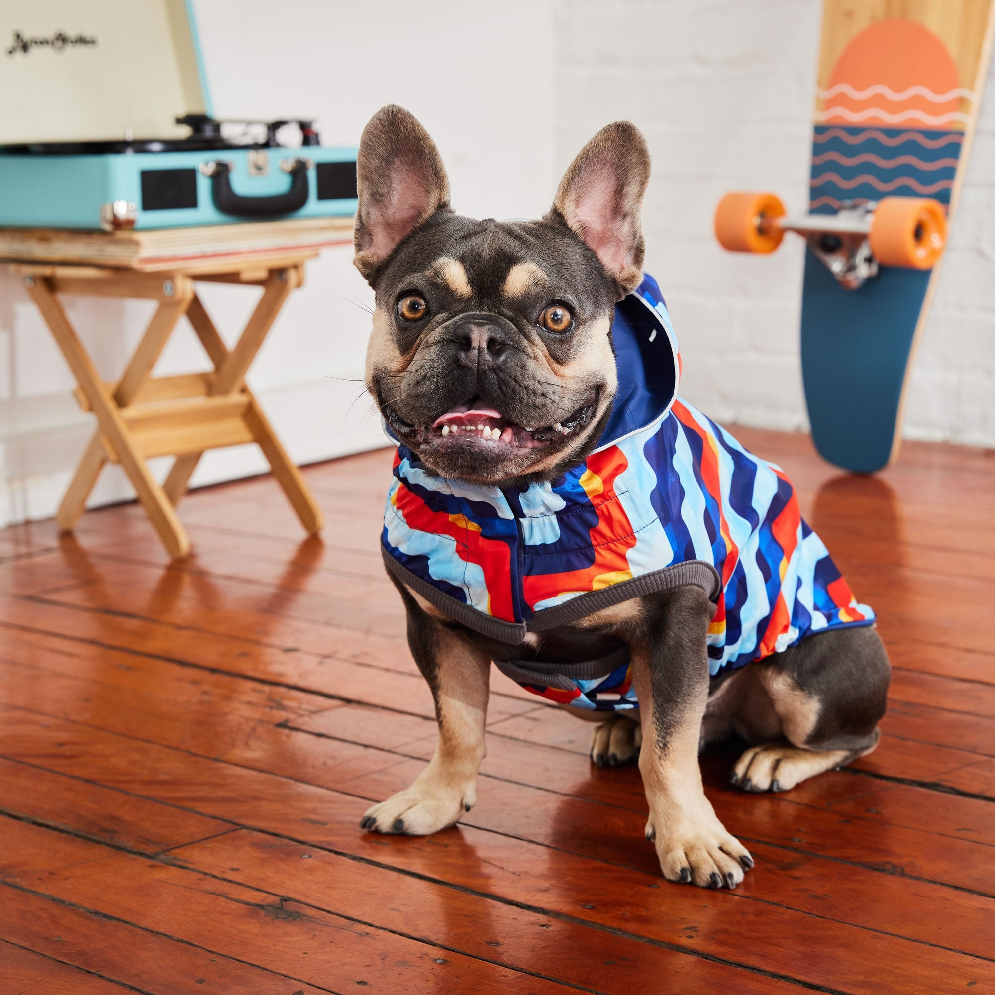 GF PET® Elasto-FIT® Reversible Waterproof Dog Raincoat - Navy/Navy