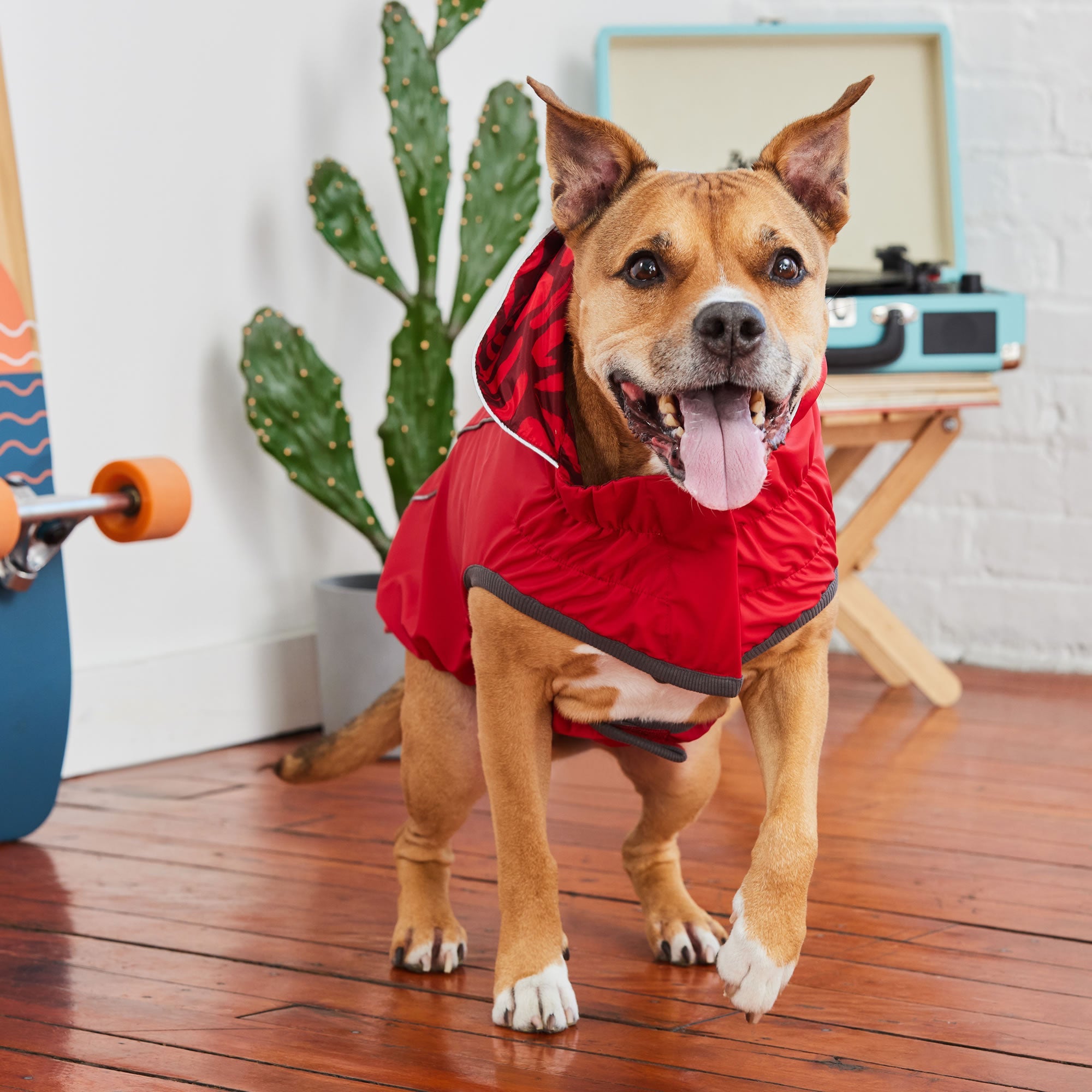 GF PET® Elasto-FIT® Reversible Red Dog Raincoat – Waterproof & Adjustable Fit