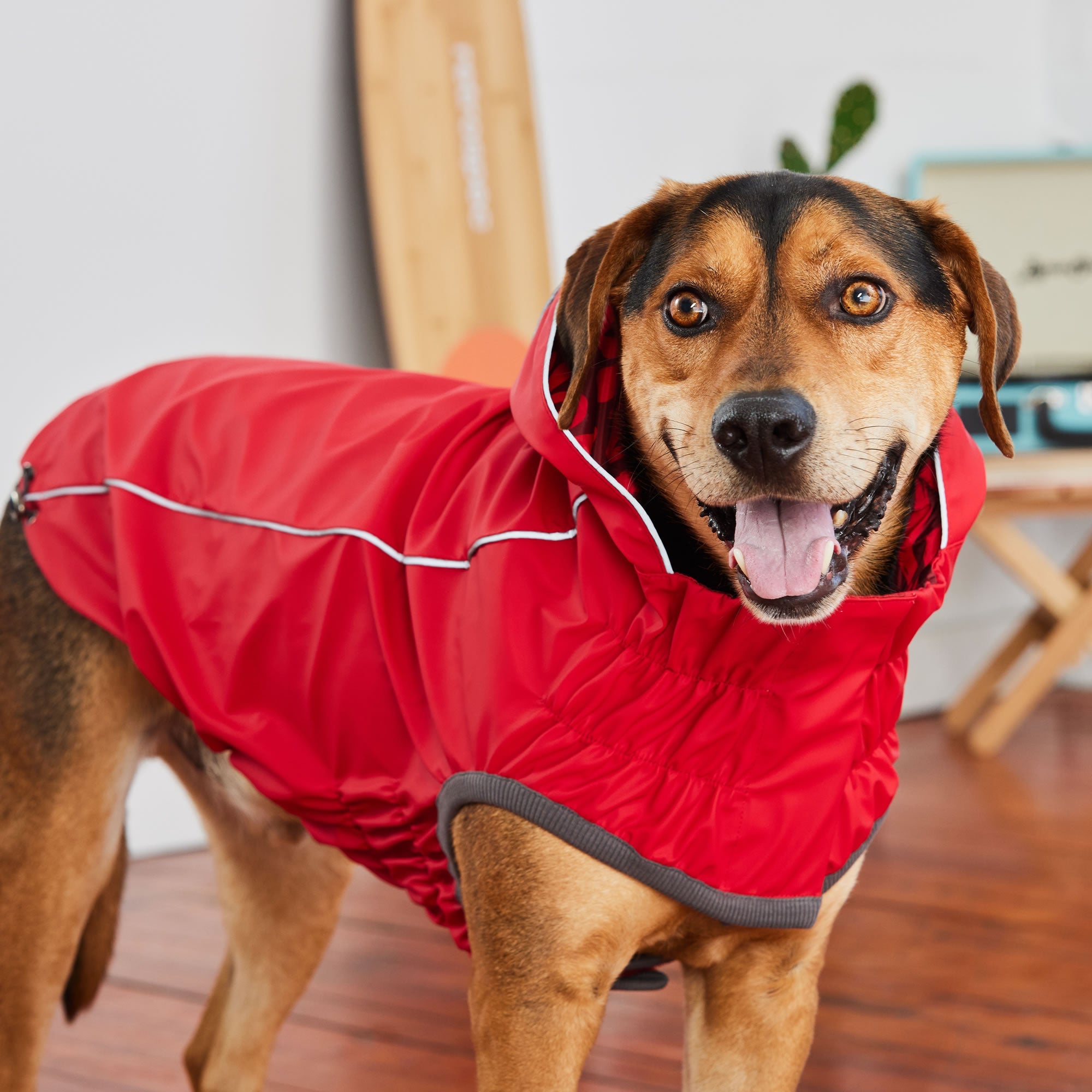 GF PET® Elasto-FIT® Reversible Red Dog Raincoat – Waterproof & Adjustable Fit