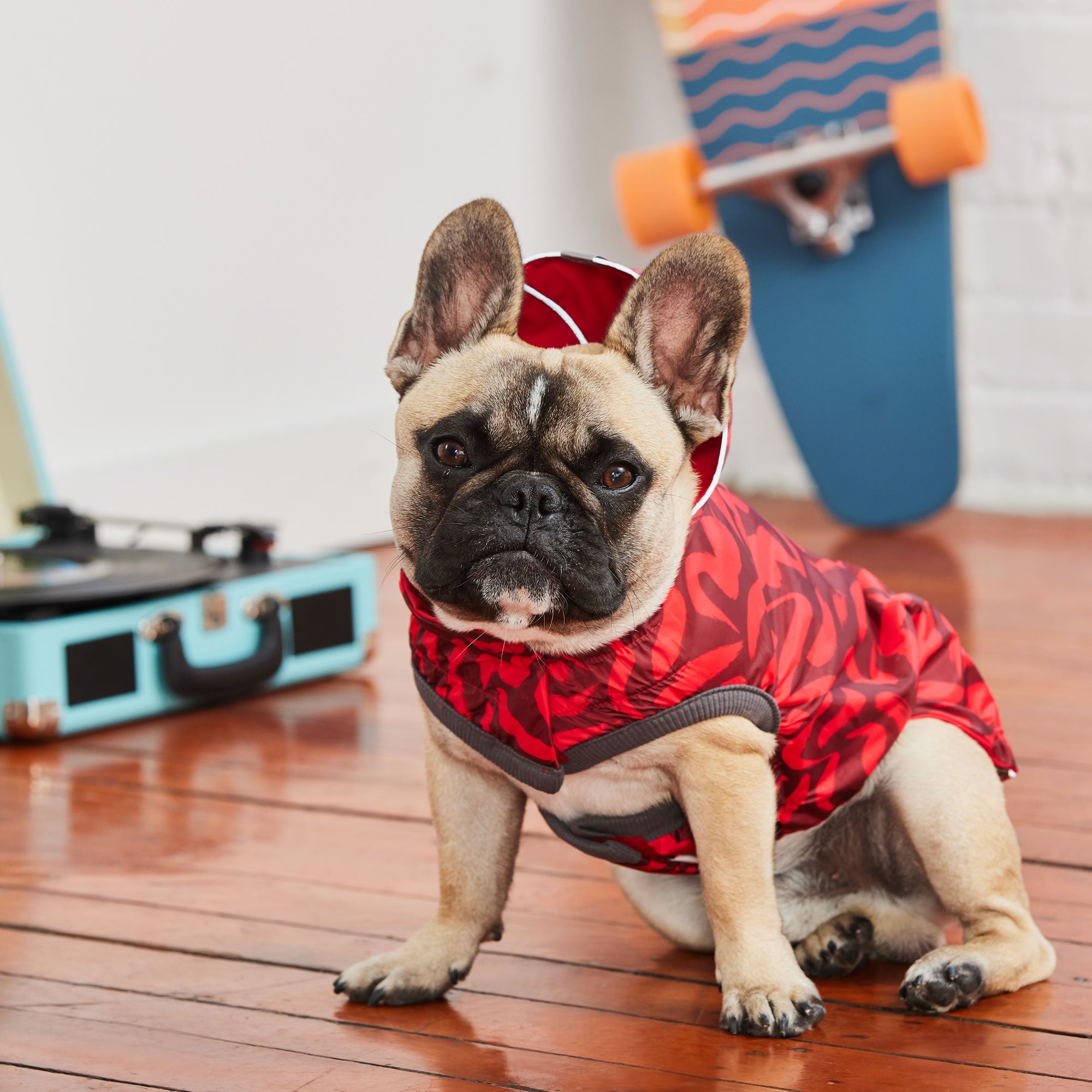 GF PET® Elasto-FIT® Reversible Red Dog Raincoat – Waterproof & Adjustable Fit