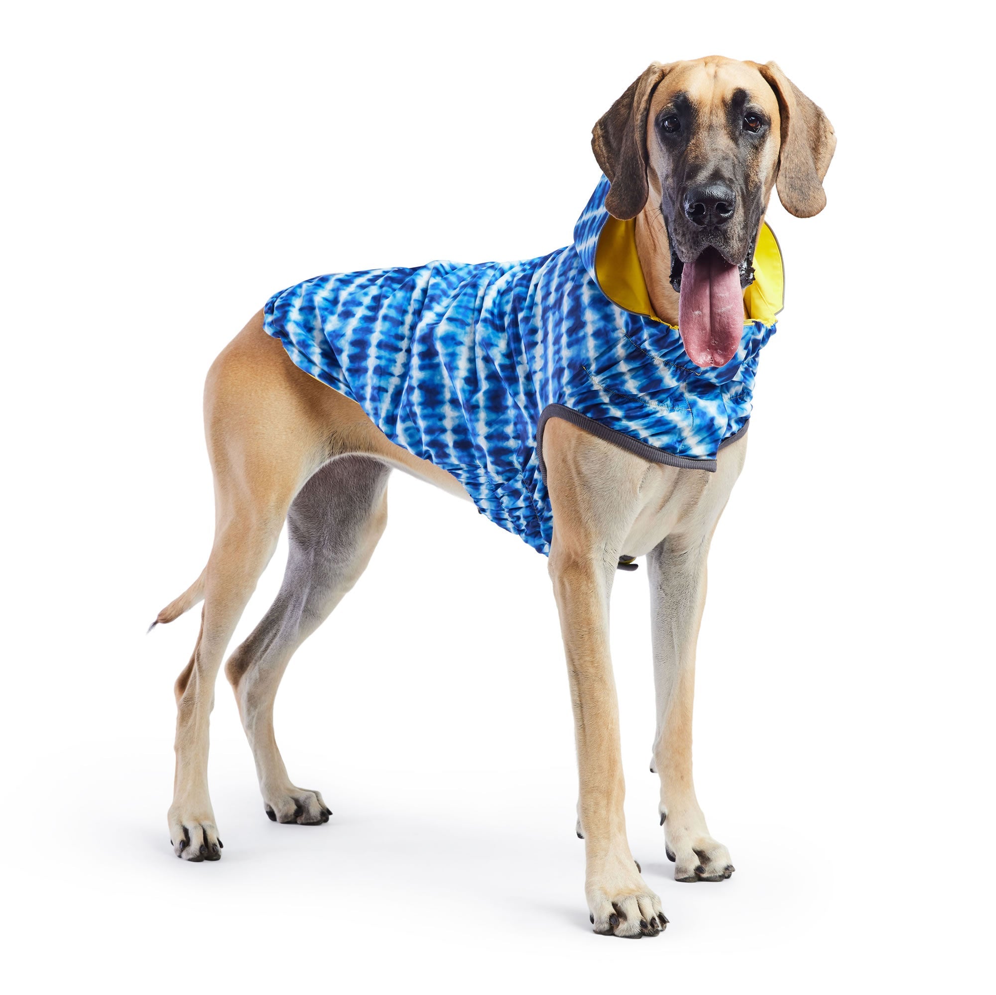 GF PET® Elasto-FIT® Reversible Yellow/ Blue Dog Raincoat – Waterproof & Adjustable Fit