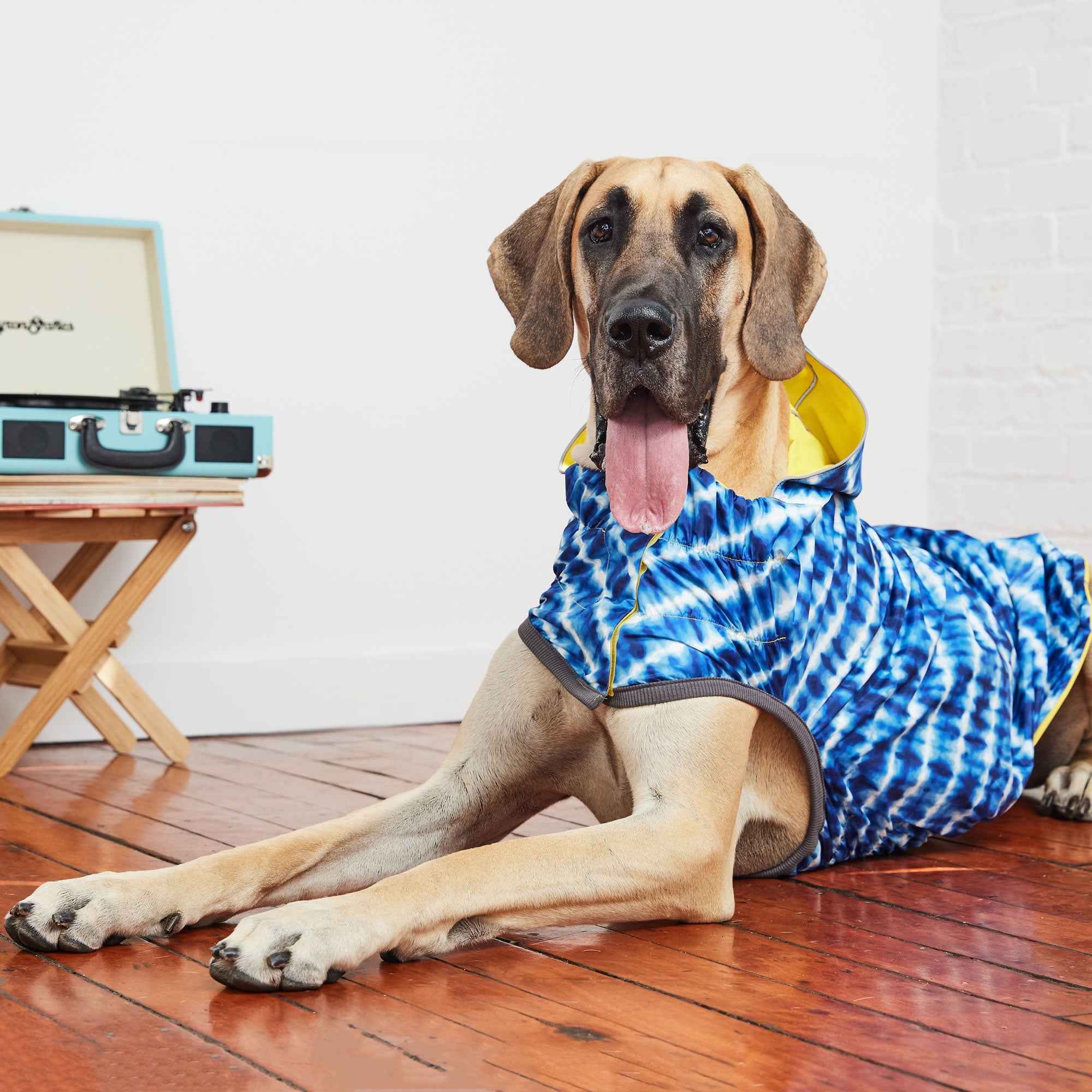 GF PET® Elasto-FIT® Reversible Yellow/ Blue Dog Raincoat – Waterproof & Adjustable Fit