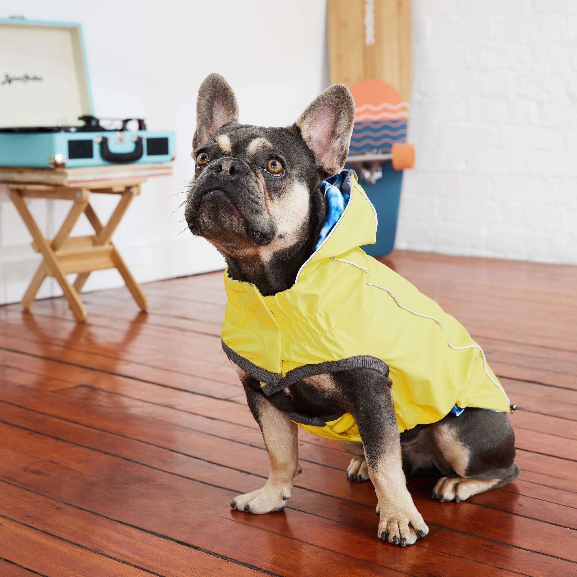 GF PET® Elasto-FIT® Reversible Yellow/ Blue Dog Raincoat – Waterproof & Adjustable Fit