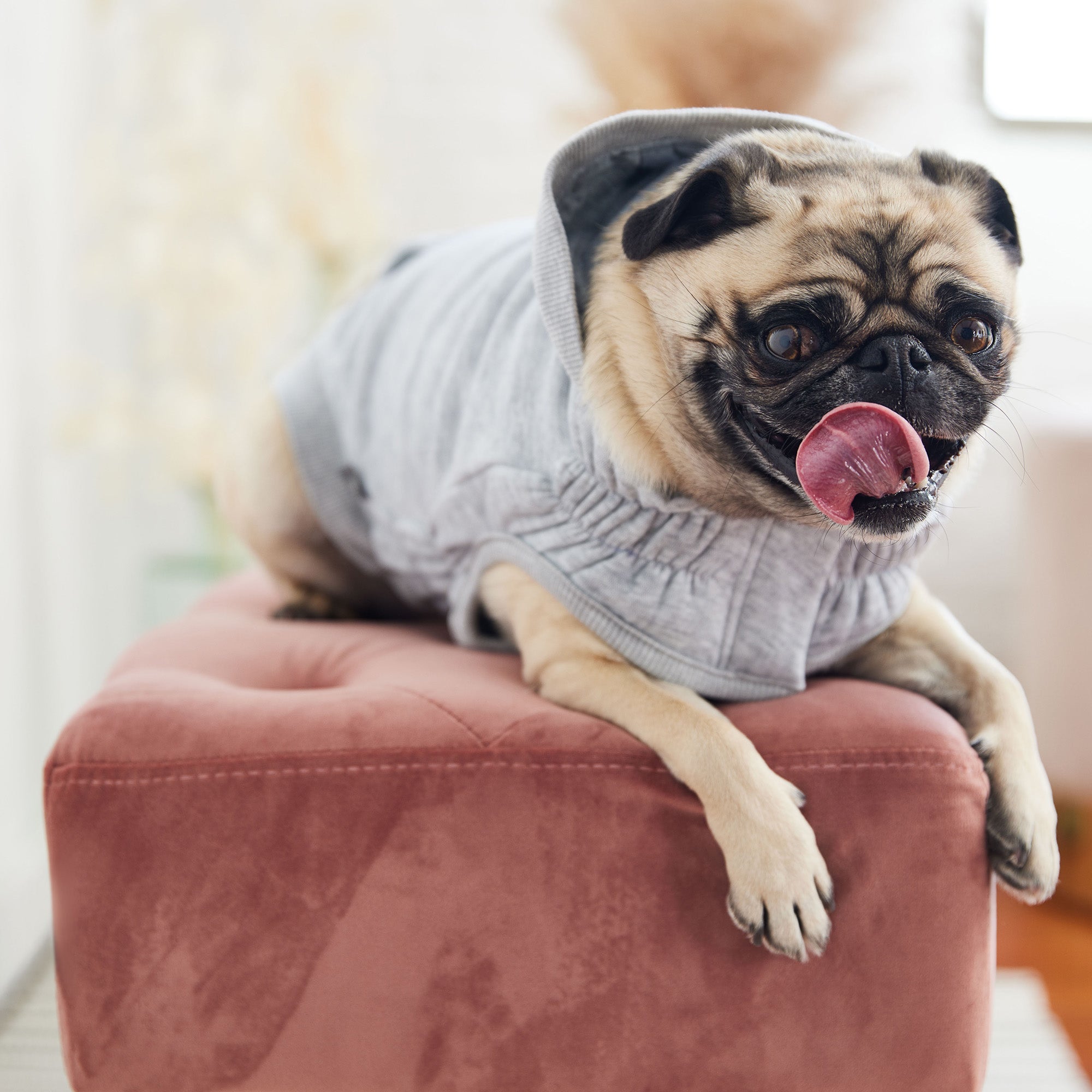 GF PET® Urban Dog Hoodie – Heather Grey, Adjustable Elasto-Fit® Design