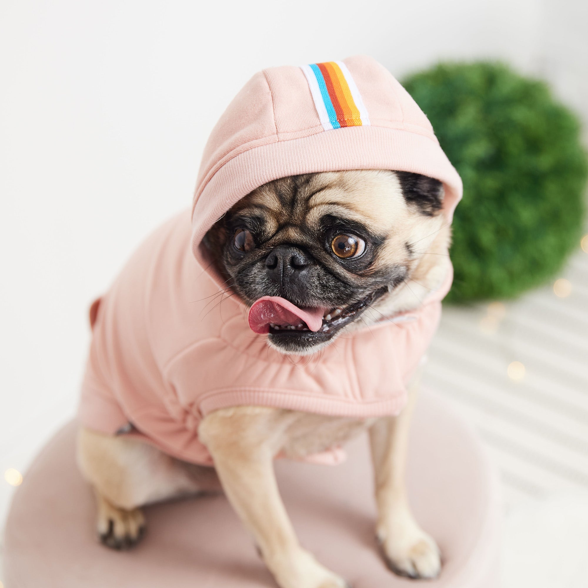 GF PET® Urban Dog Hoodie – Pink, Adjustable Elasto-Fit® Design