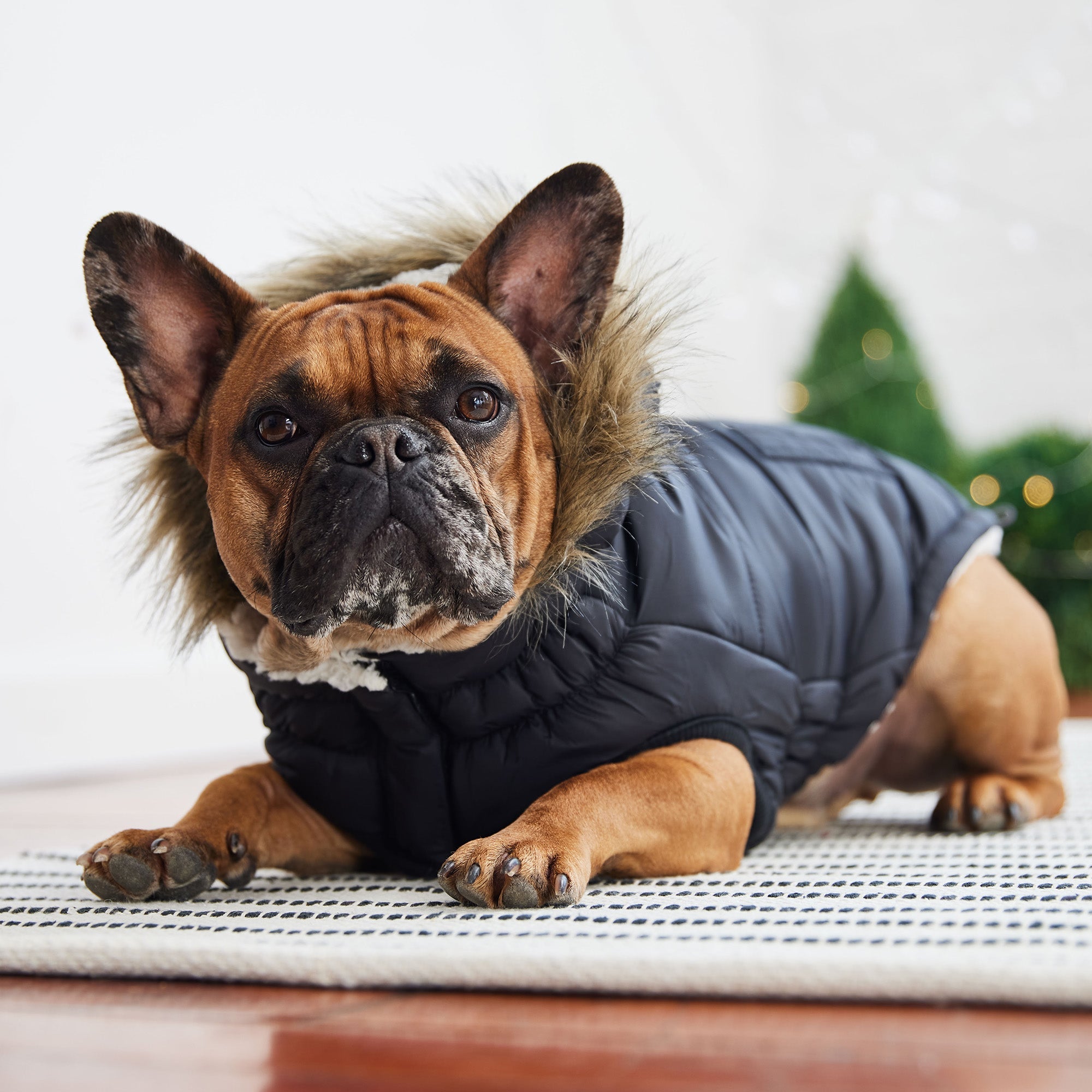 GF PET® Urban Dog Parka – Water-Resistant Winter Coat with Elasto-Fit® - Black