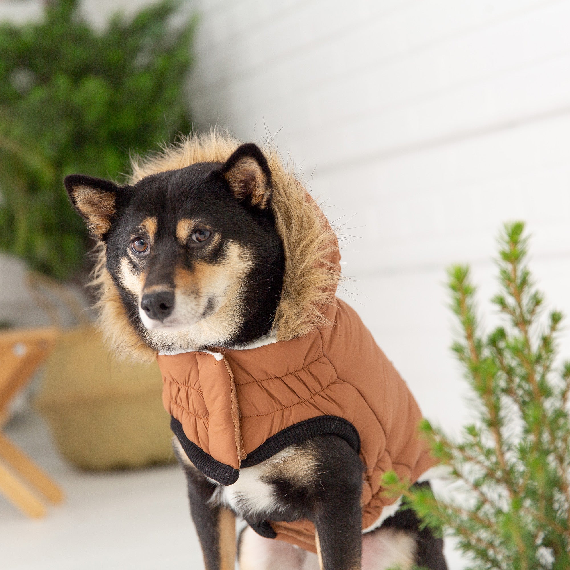 GF PET® Urban Dog Parka – Water-Resistant Winter Coat with Elasto-Fit® - Caramel