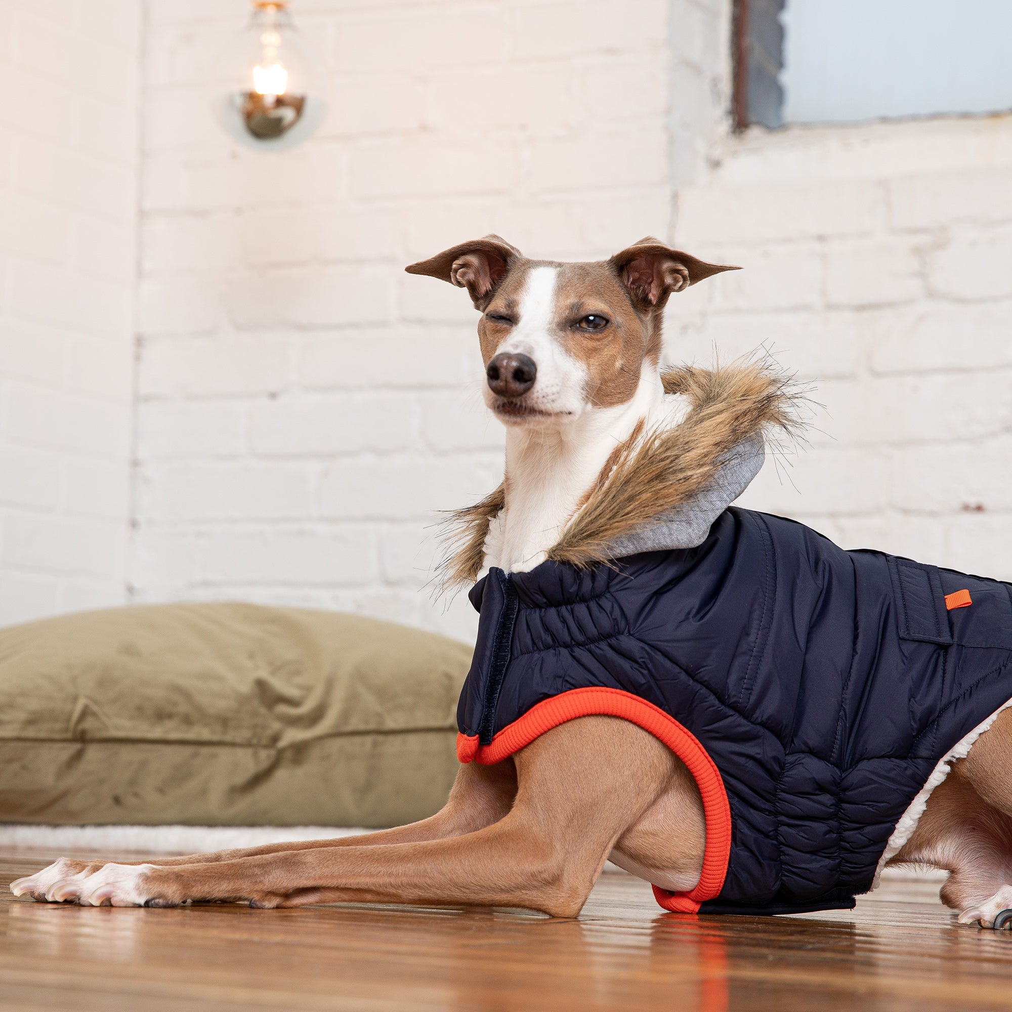 GF PET® Winter Navy Sailor Parka – Warm, Water-Repellent Dog Coat with Sherpa Lining