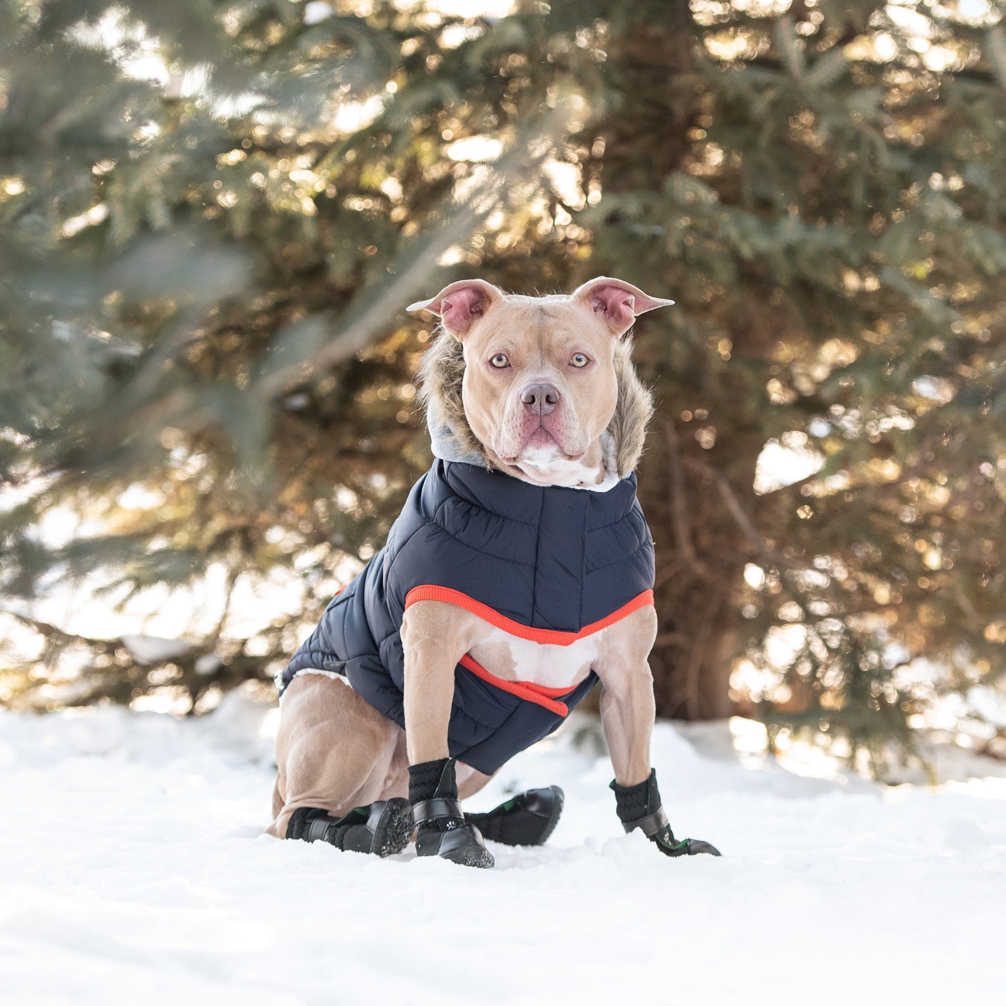 GF PET® Winter Navy Sailor Parka – Warm, Water-Repellent Dog Coat with Sherpa Lining