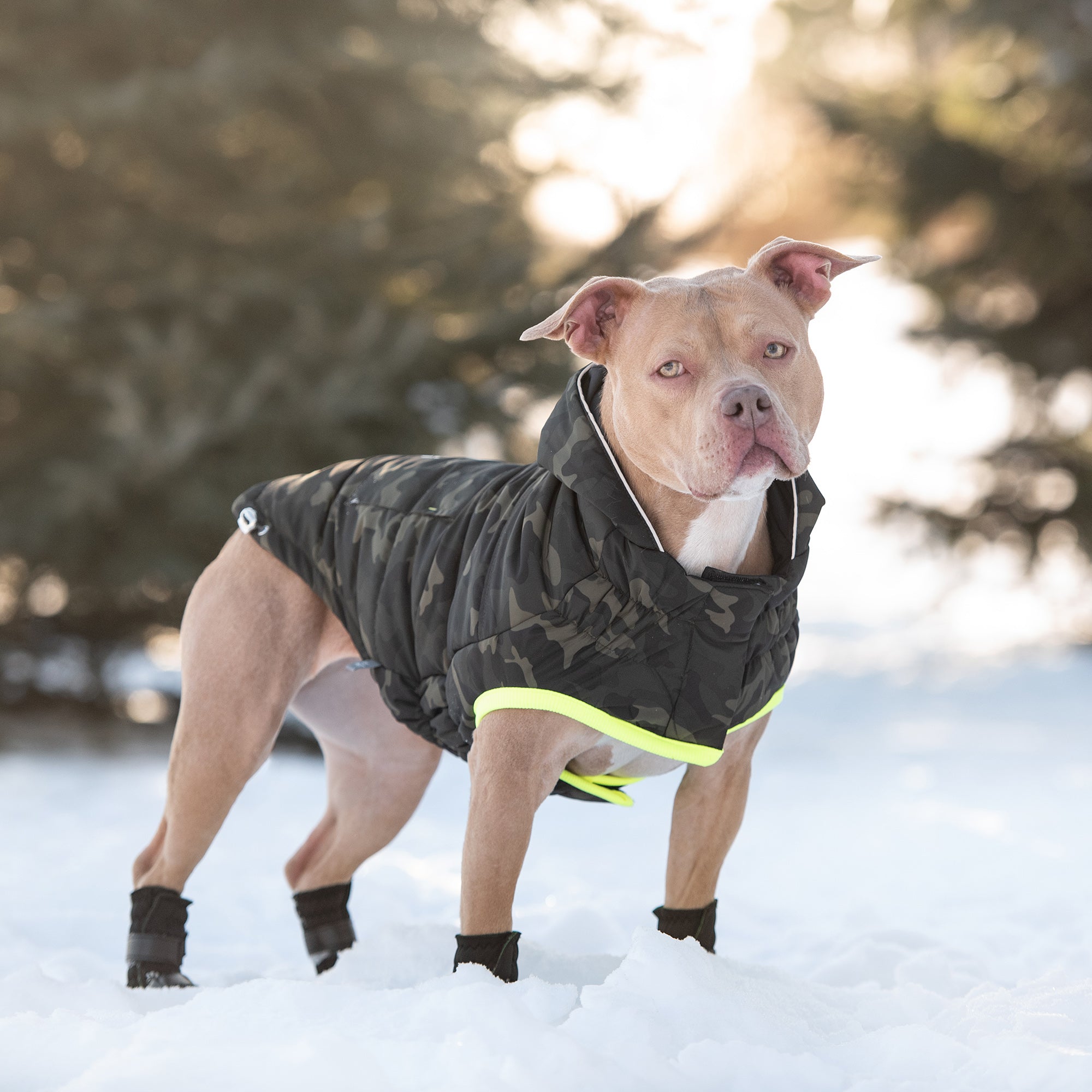 GF Pet Recycled Parka | Eco-Friendly Cold-Weather Dog Coat 🌿