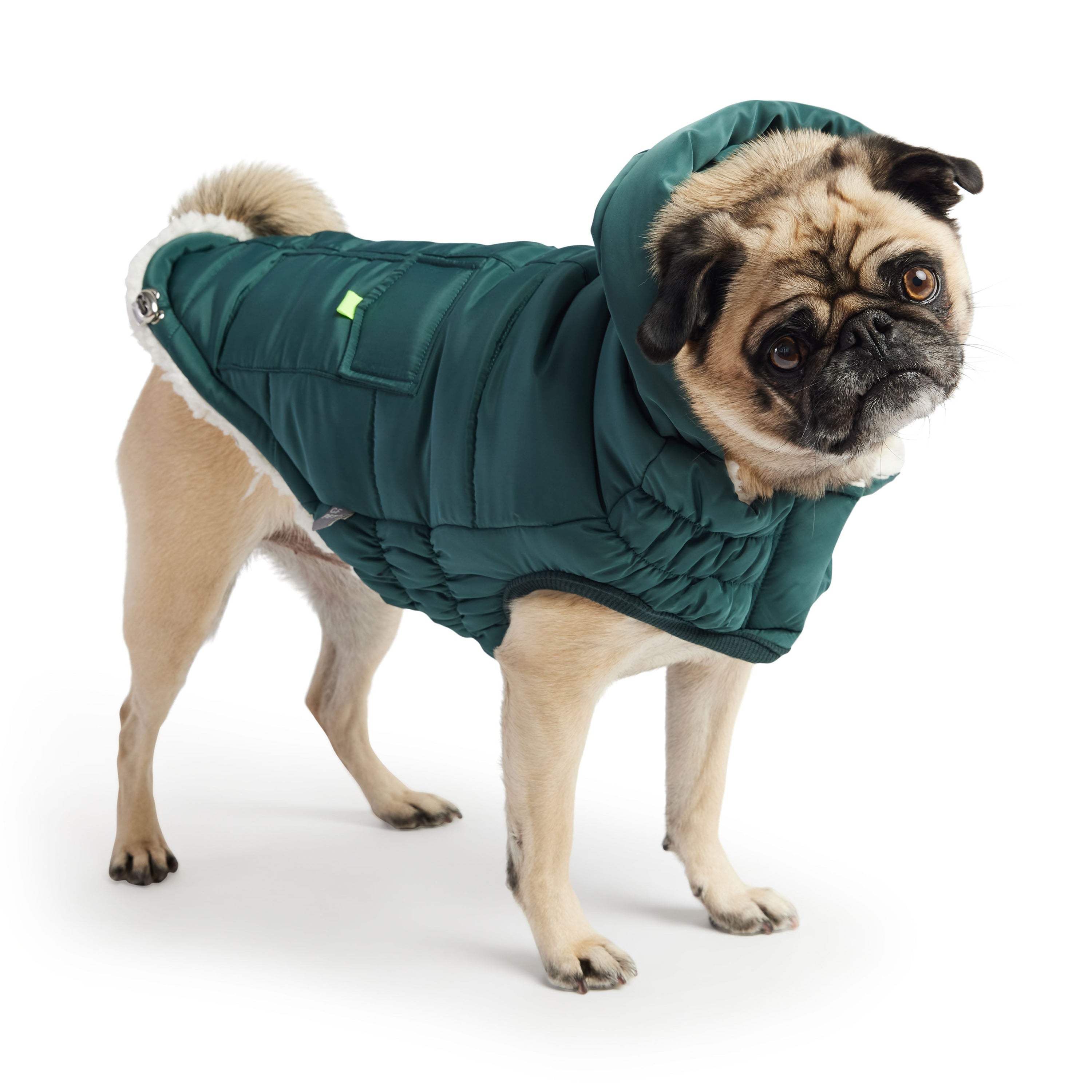 GF PET® Elasto-FIT® Puff Parka – Teal, Water-Repellent & Ultra-Warm Dog Coat