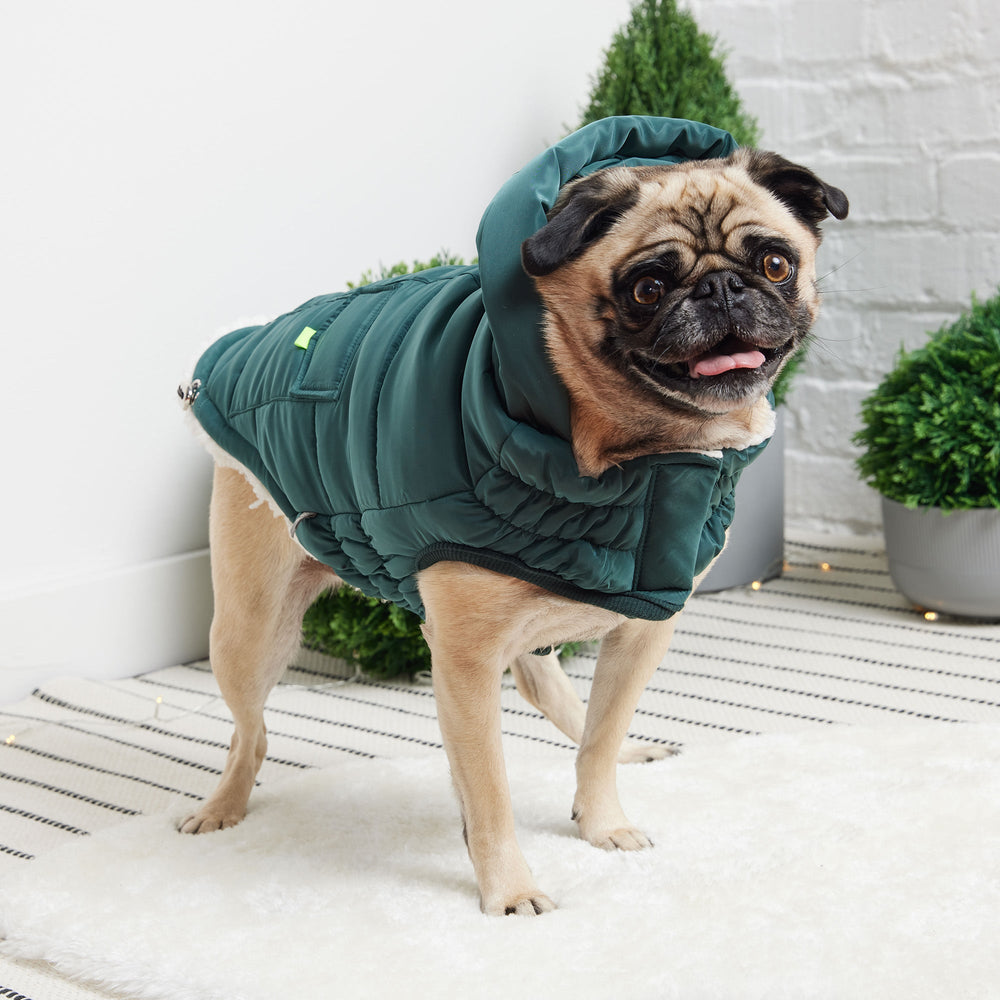 GF PET® Elasto-FIT® Puff Parka – Teal, Water-Repellent & Ultra-Warm Dog Coat