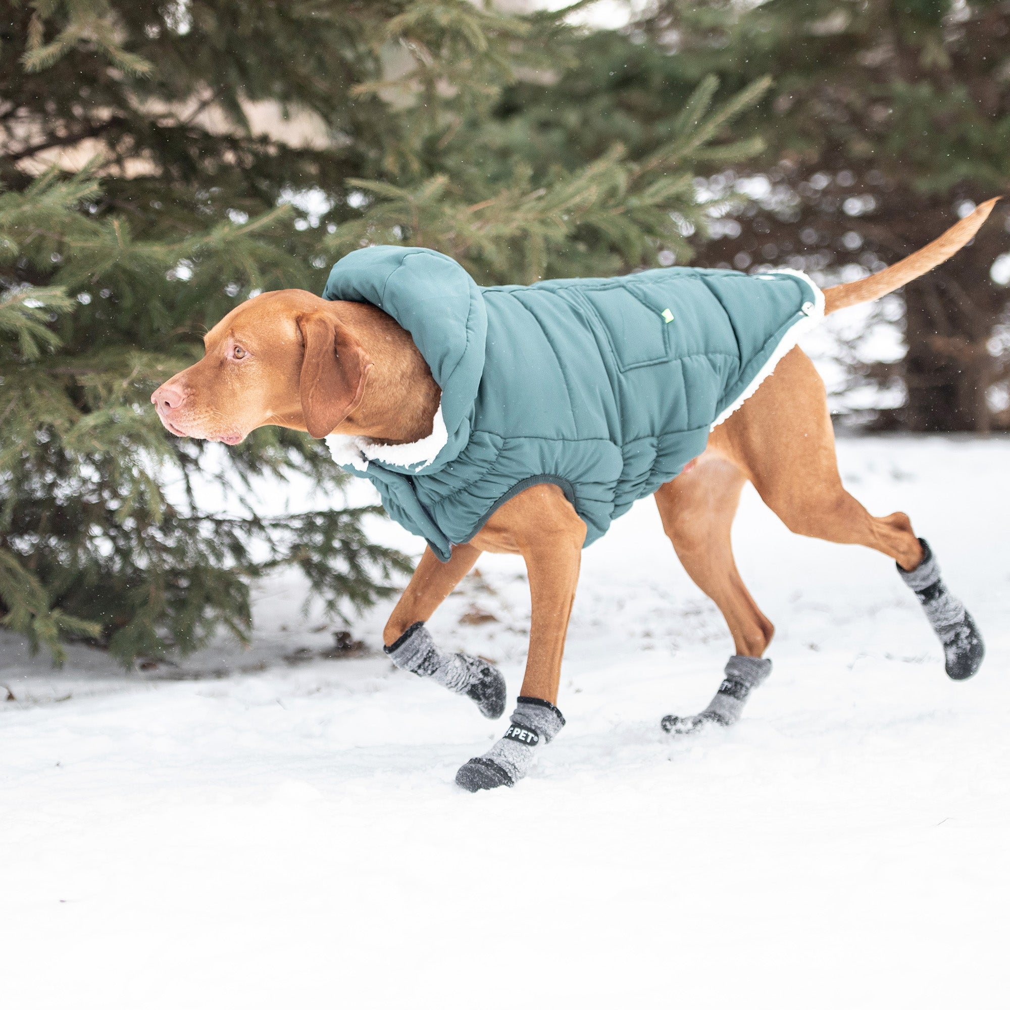 GF PET® Elasto-FIT® Puff Parka – Teal, Water-Repellent & Ultra-Warm Dog Coat