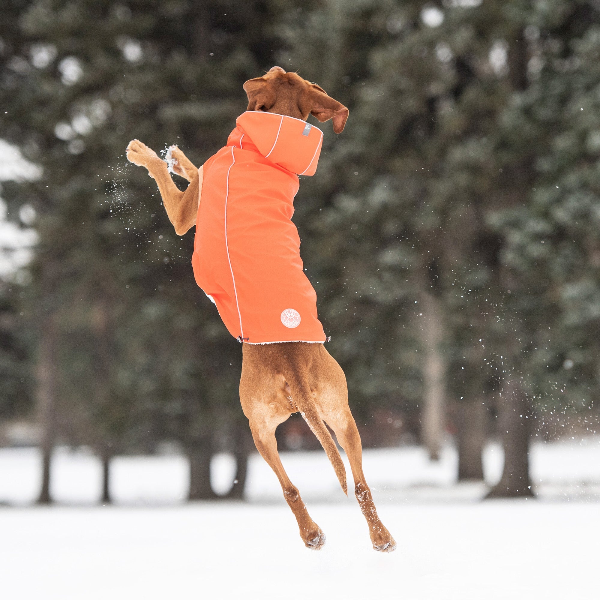 Thermal-Lined Orange Raincoat – Rain & Cold Weather Defense in One