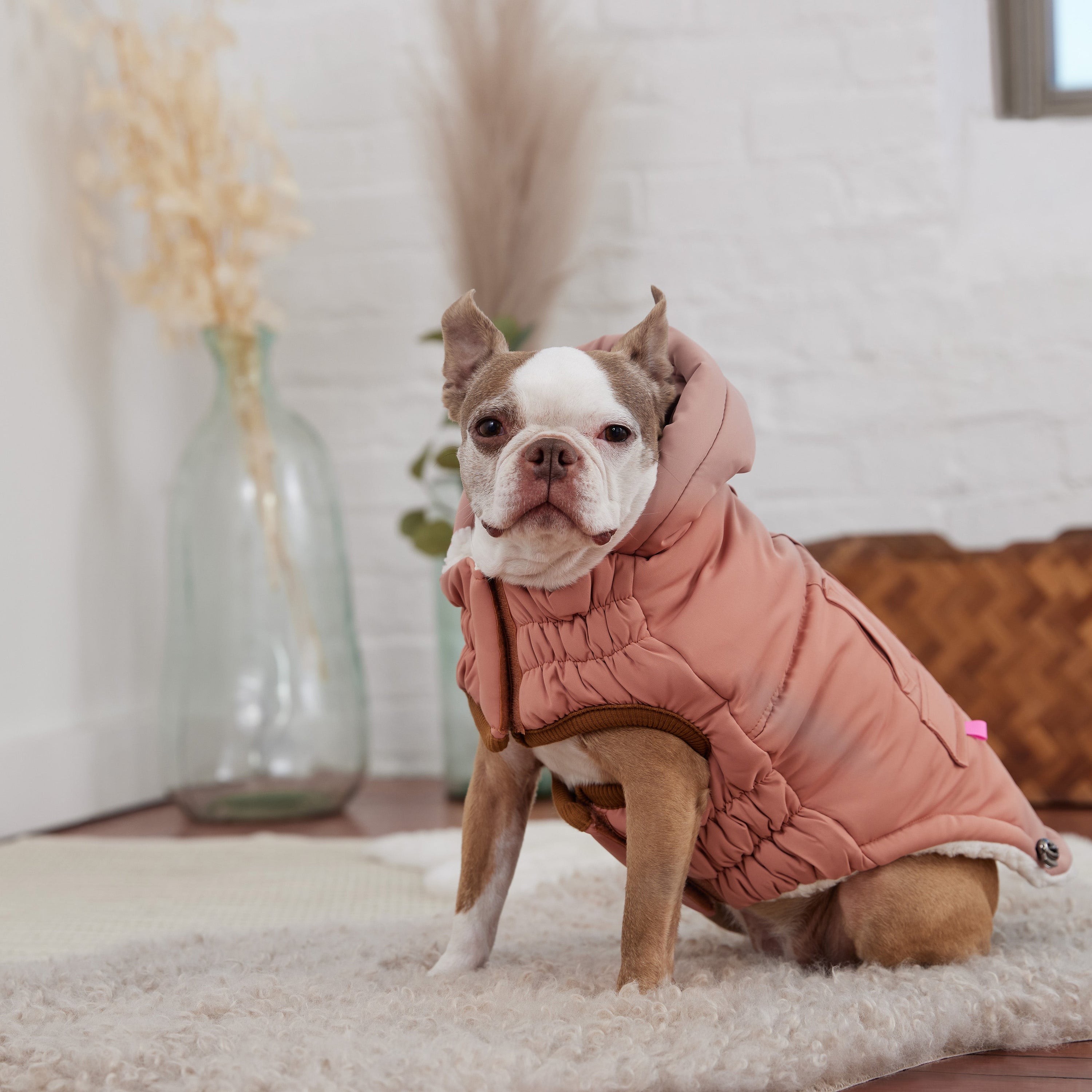 Clay Arctic Dog Parka - Cozy Winter Coat for Pets