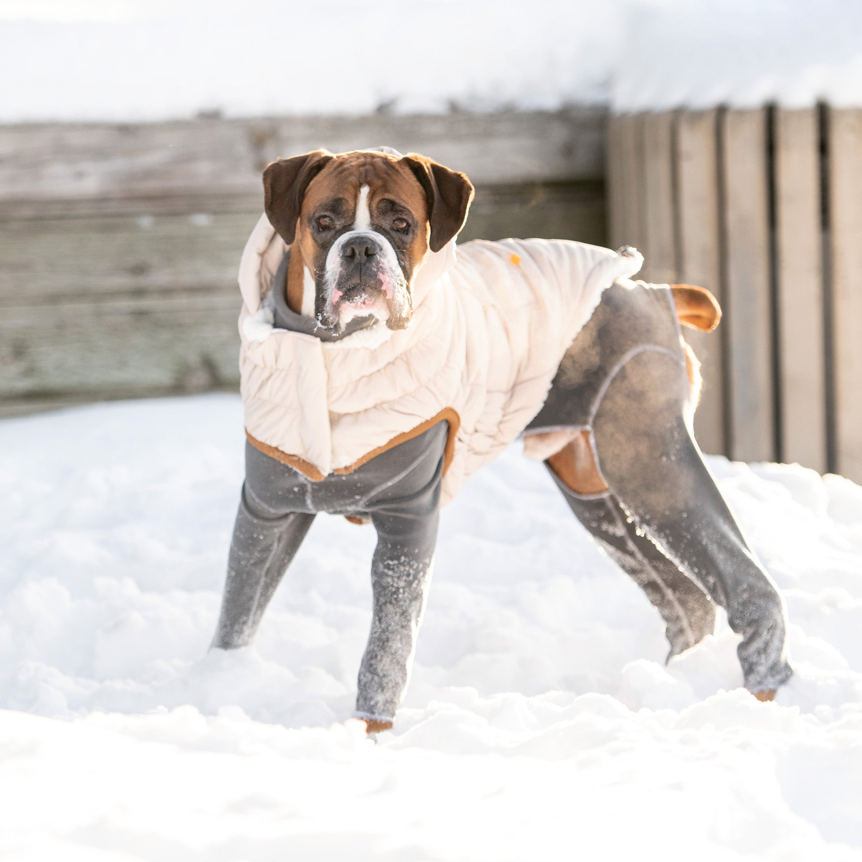 Sand Arctic Dog Parka - Cozy Winter Coat for Pets