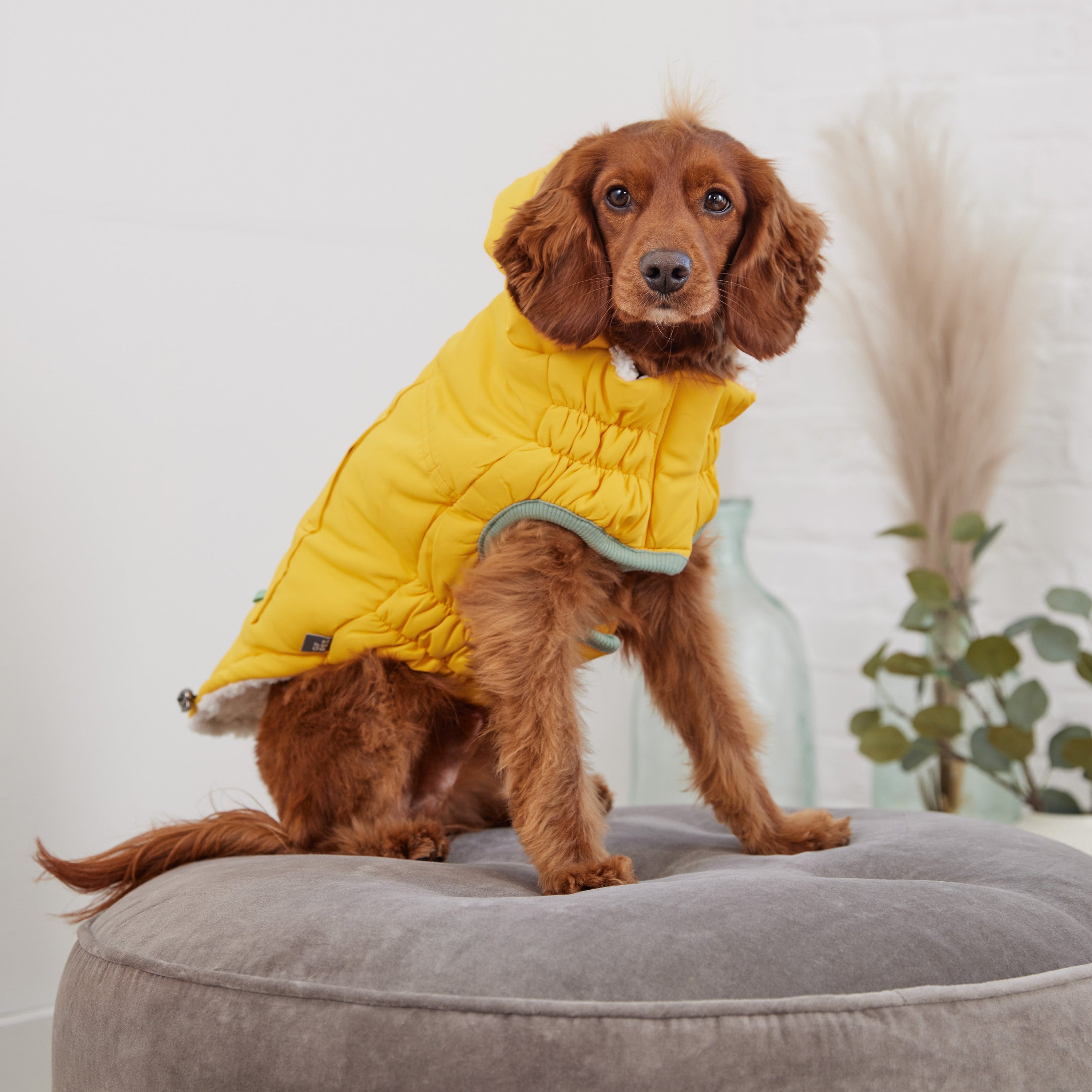 Yellow Arctic Dog Parka - Cozy Winter Coat for Pets