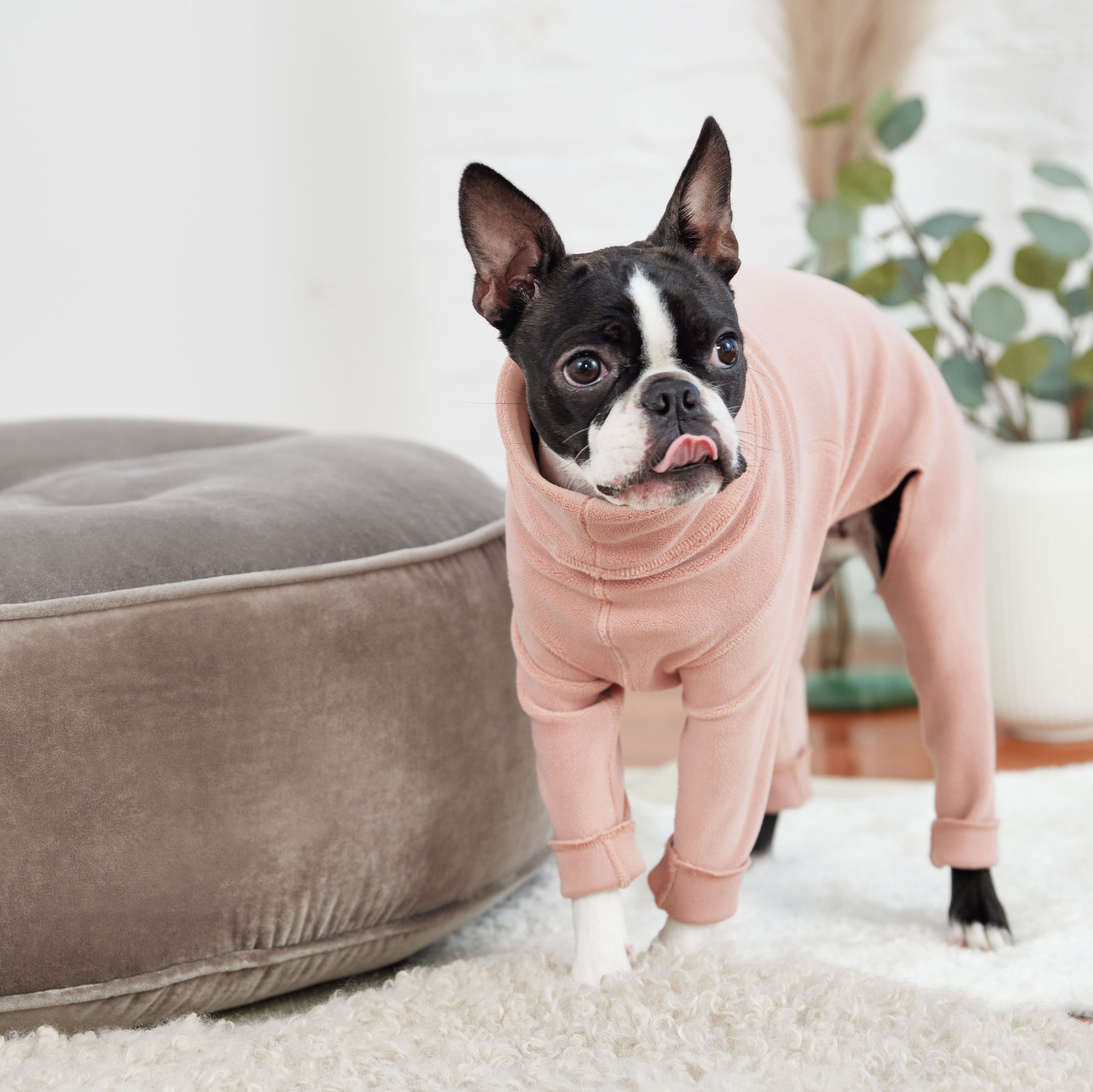 GF PET® Gondola Dog Onesie – Ultra-Soft Full-Body Fleece Pajamas