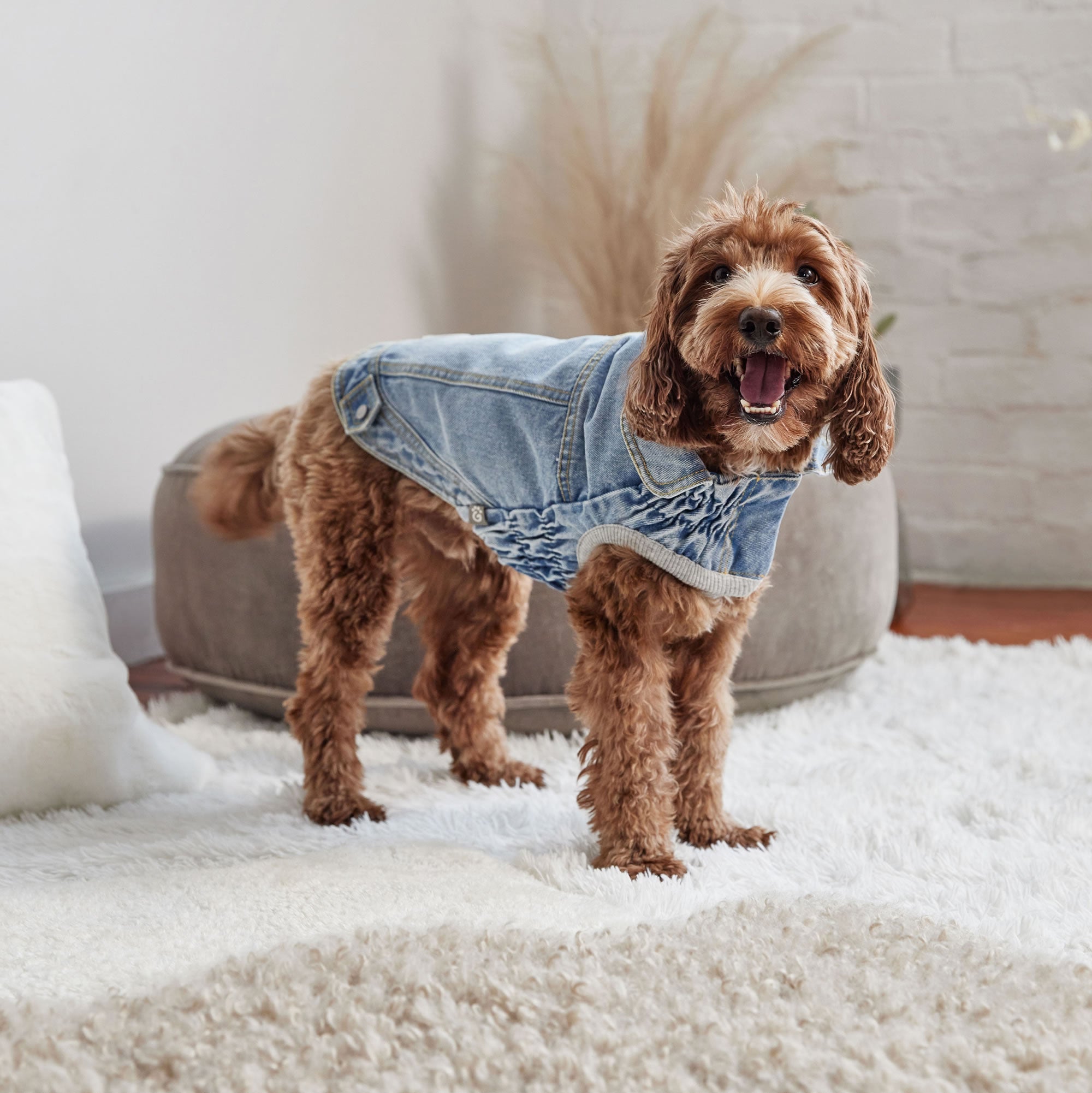 All-Season Light Wash Denim Dog Jacket – Adjustable Pet Coat with Elasto-Fit® for Perfect Comfort Fit