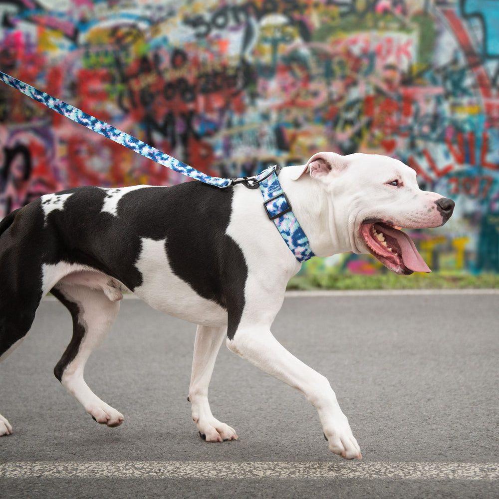 GF PET® Tie Dye Dog Leash – Durable Nylon, 6ft Length, Fun & Vibrant Design with Matching Collar Option