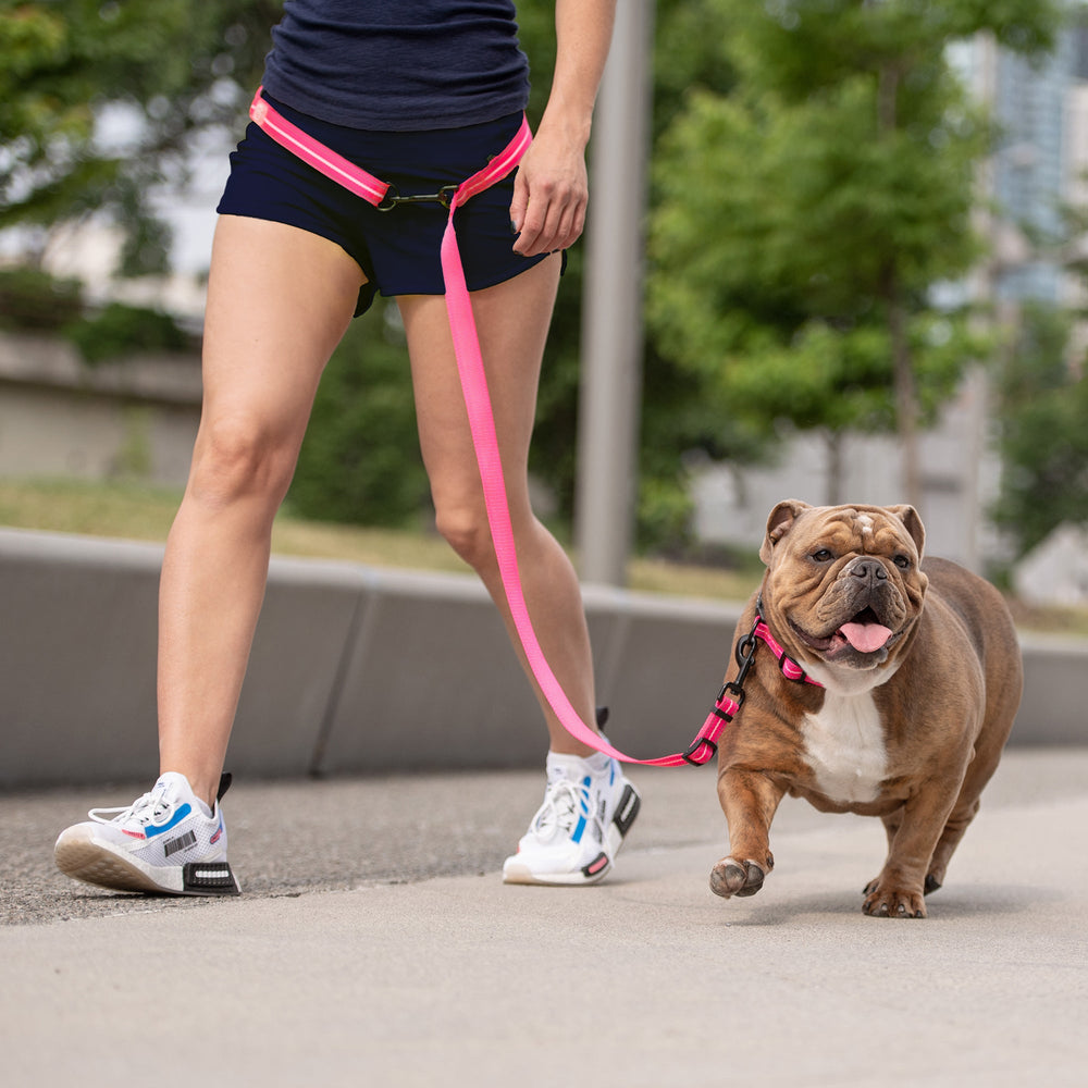 GF PET® Reflective 6-in-1 Dog Leash – High-Visibility, Durable & Versatile