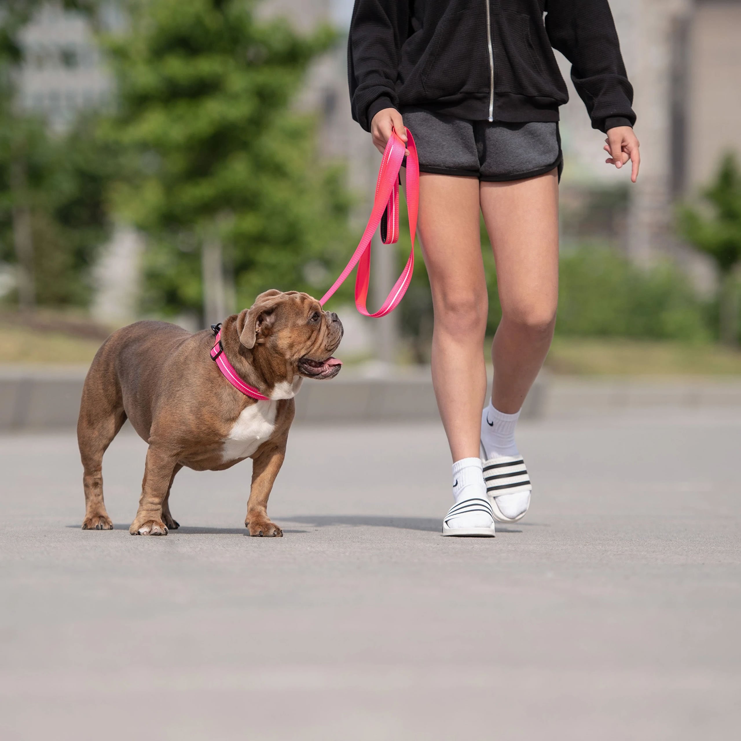 GF PET Reflective Dog Leash – High-Visibility, Durable Nylon Leash for Night Walks (6ft, Neon Pink)
