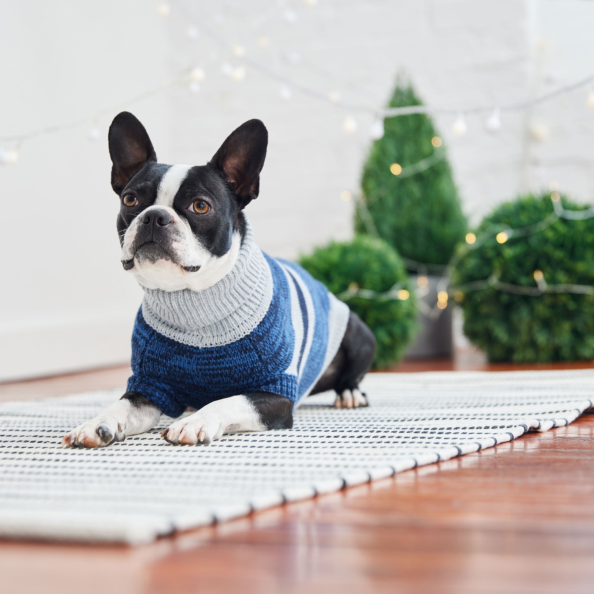 GF PET® Trekking Dog Sweater – Warm, Durable & Stylish (Blue)