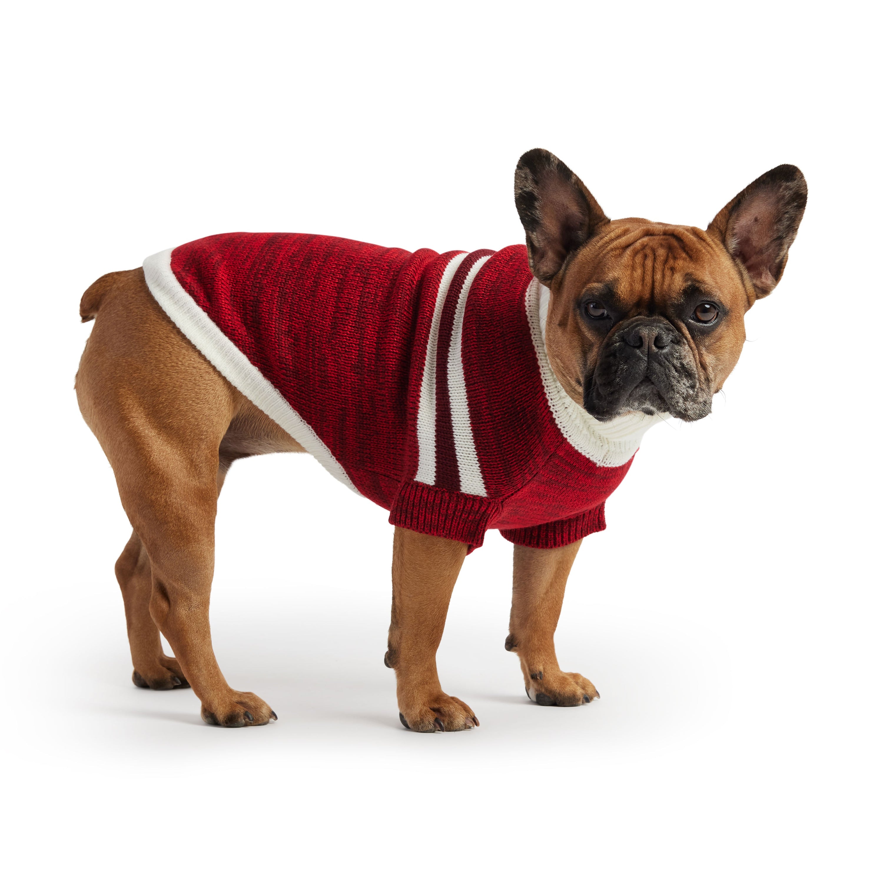 GF PET® Trekking Turtleneck Dog Sweater – Heather Mélange Stripes