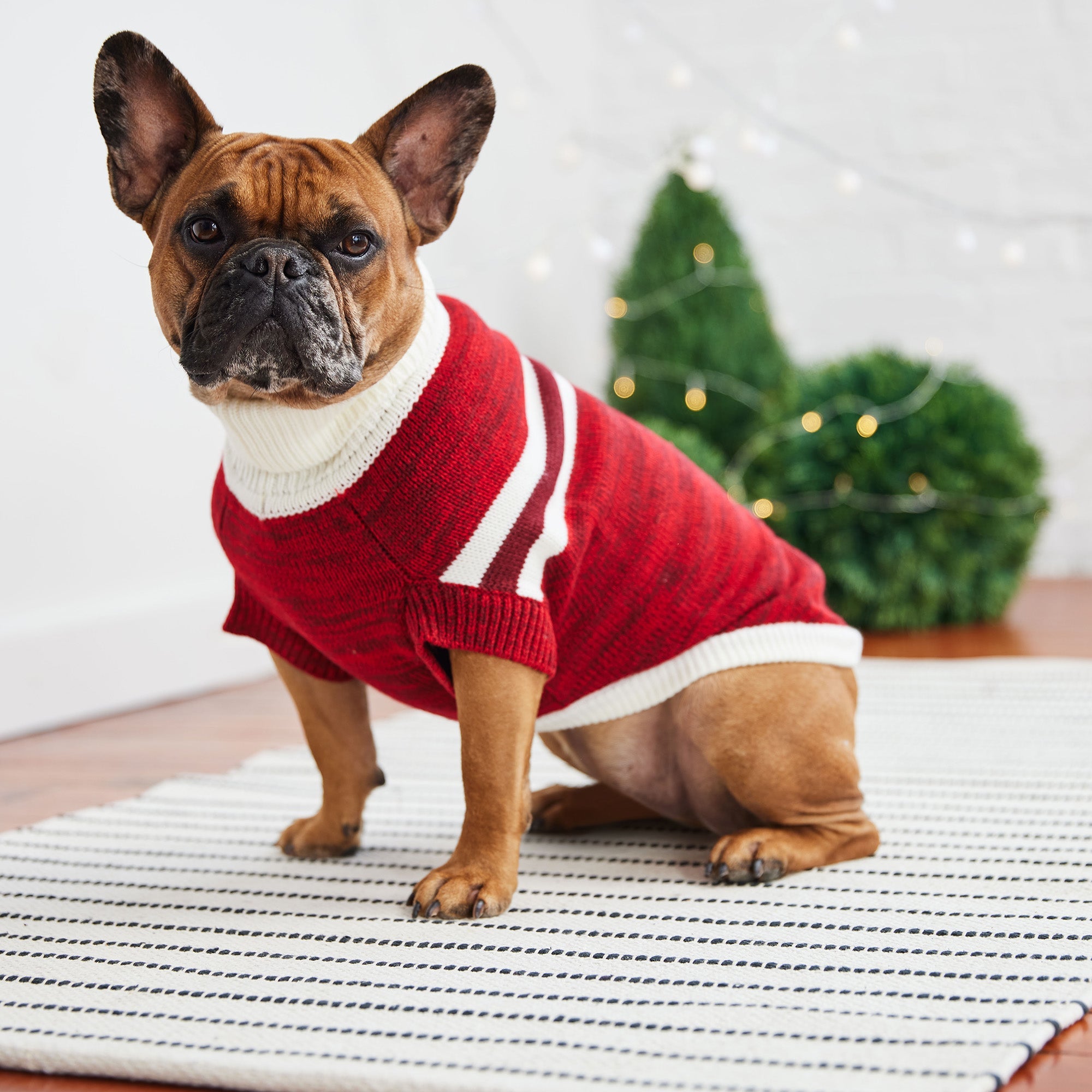 GF PET® Trekking Turtleneck Dog Sweater – Heather Mélange Stripes