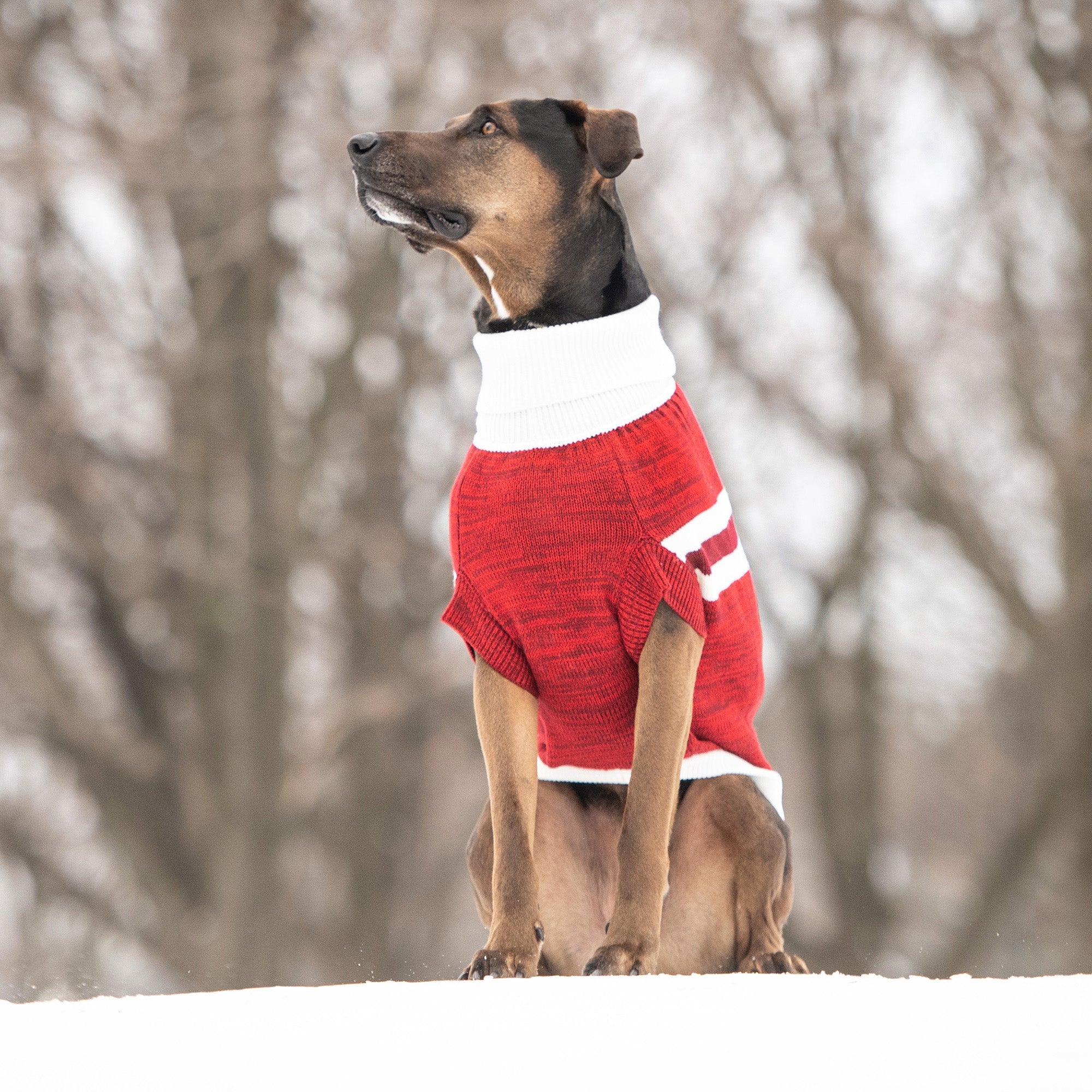 GF PET® Trekking Turtleneck Dog Sweater – Heather Mélange Stripes