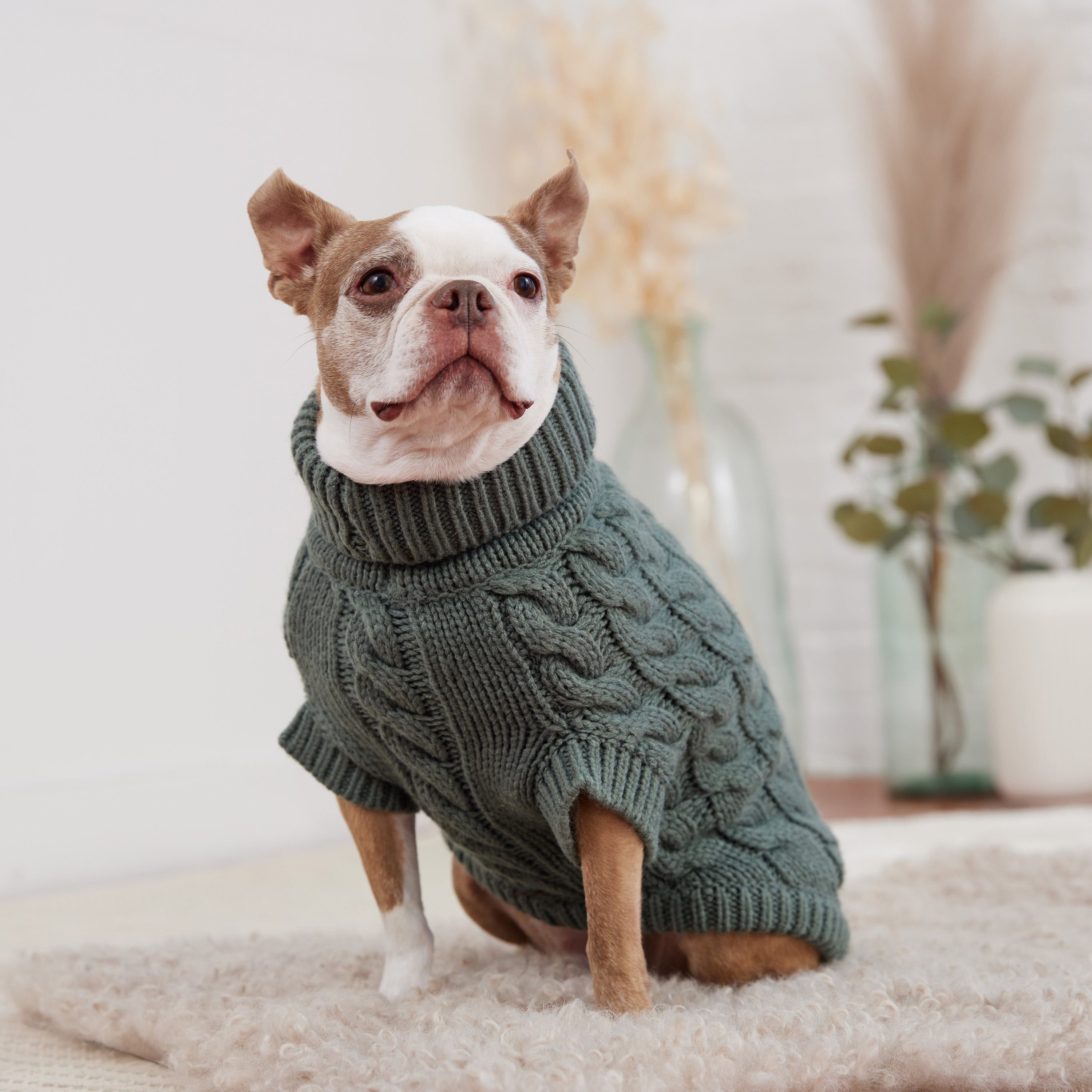 Cozy Sage Chalet Dog Sweater – Warm & Stylish Pet Apparel
