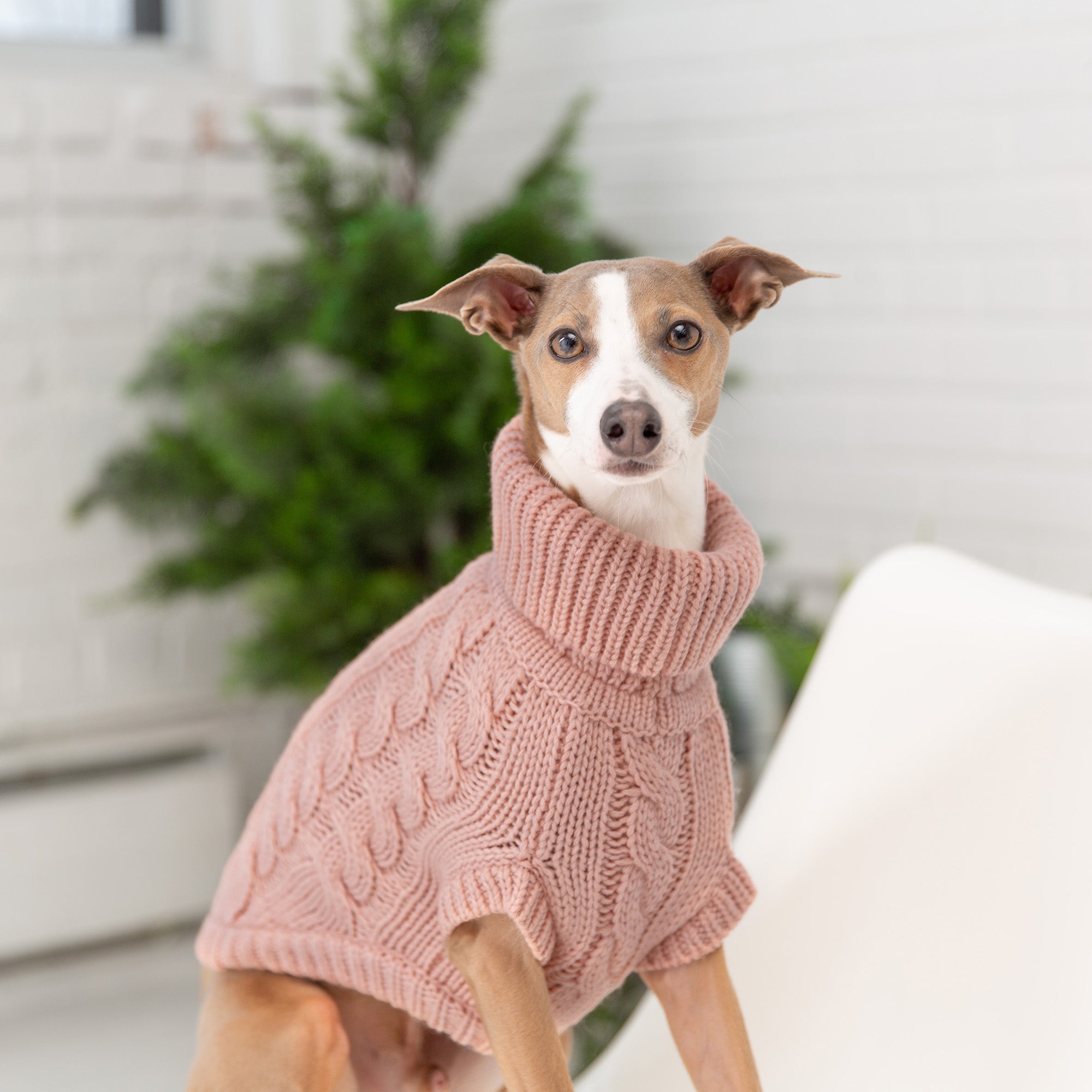 Cozy Pink Chalet Dog Sweater – Warm & Stylish Pet Apparel