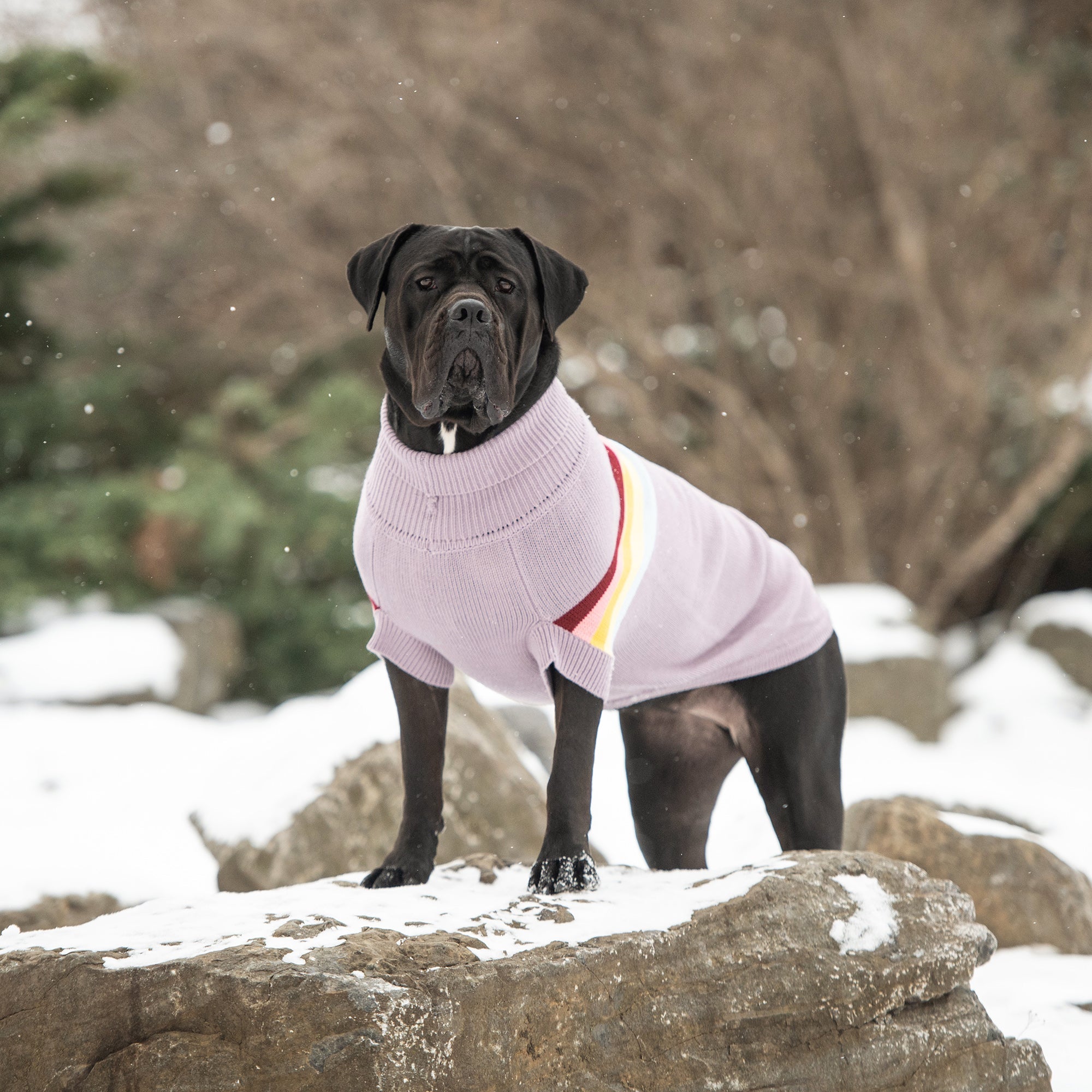 Retro Dog Sweater – Sculpted Lavender Turtleneck for Small to Large Dogs