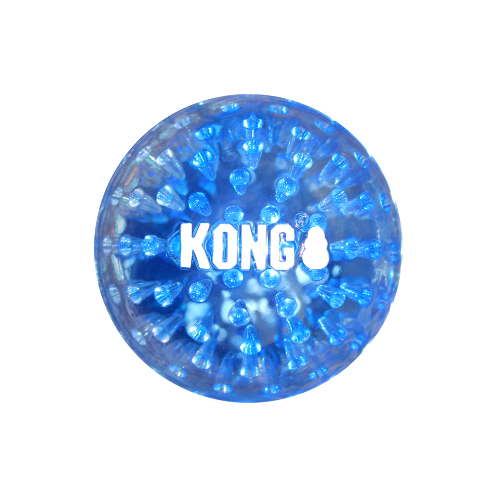 KONG Geodz Dog Toy | Floating Fetch Ball with Squeaker 🐾 (2pk)