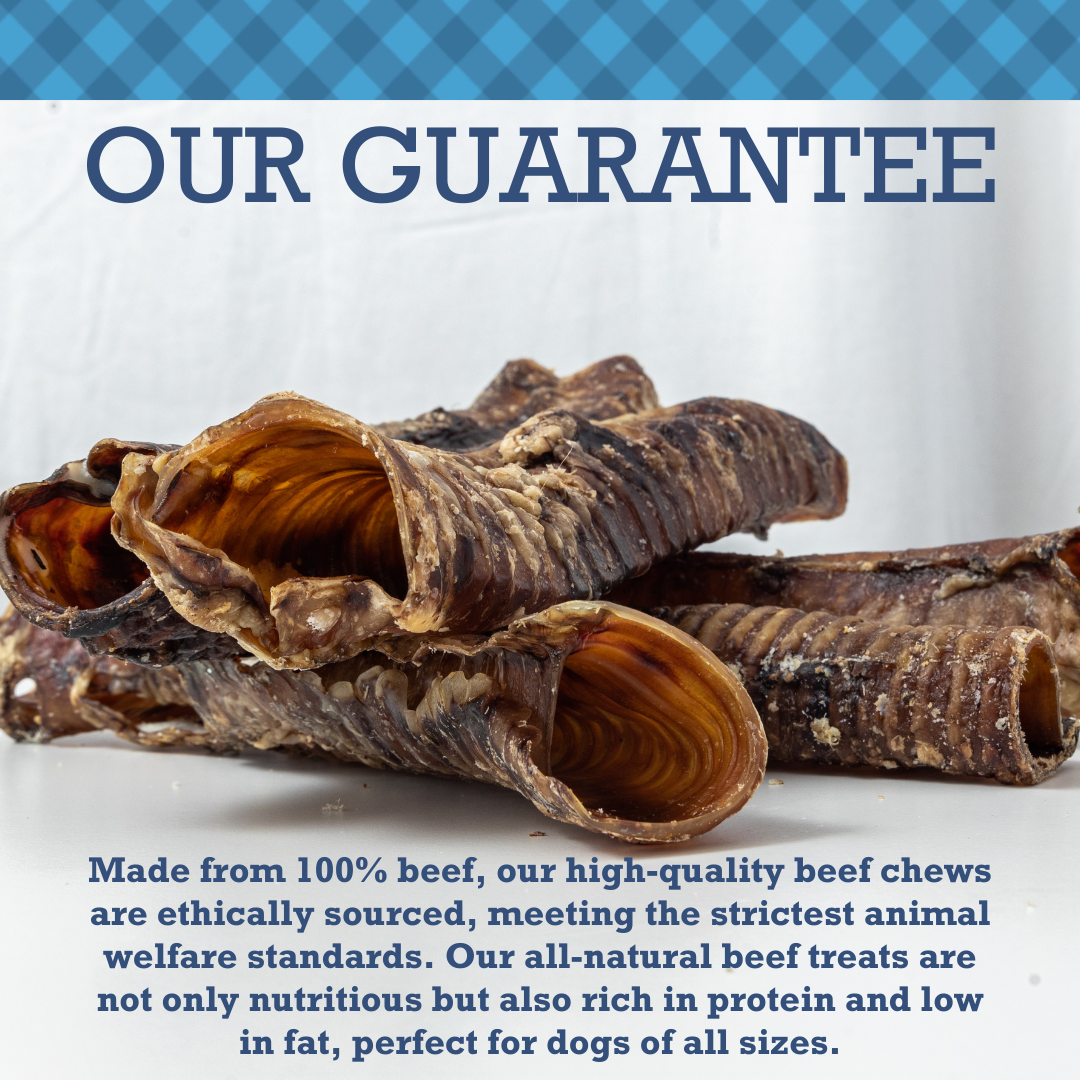 Country Living Beef Trachea Dog Treats – All-Natural 12-Inch Protein-Rich Chews (5-Pack)