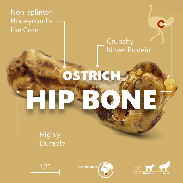 Ostrich Hip Bone for Dogs (12" x 5" x 3") – Long-Lasting, Hypoallergenic Chew for Medium & Large Breeds