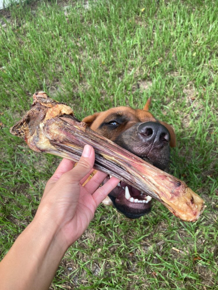 Australian Lamb Shank Dog Chew – Grass-Fed & Pasture-Raised