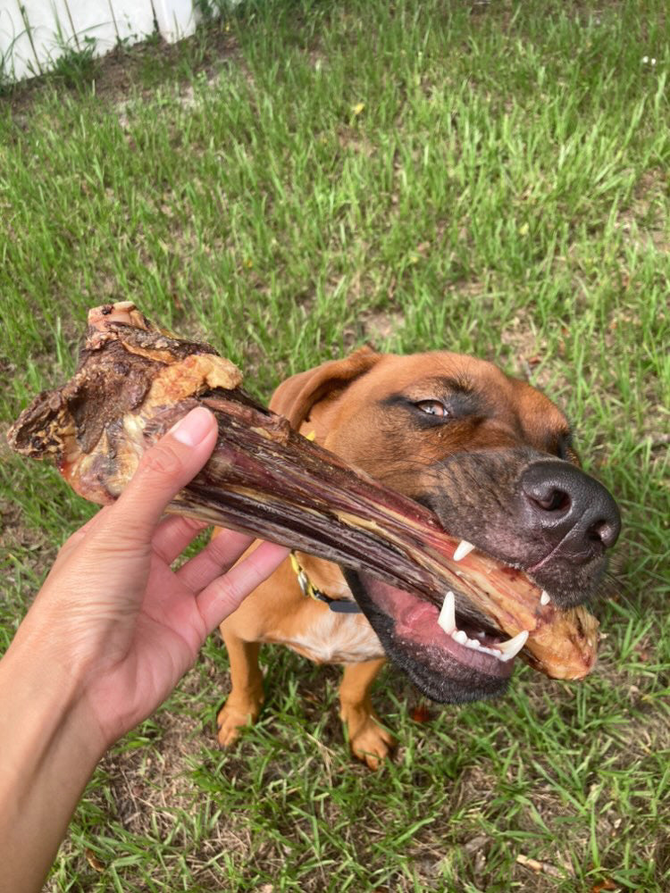 Australian Lamb Shank Dog Chew – Grass-Fed & Pasture-Raised