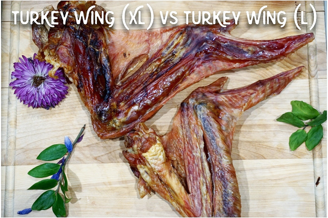 Turkey Wing Natural Dog Chew – Single Ingredient