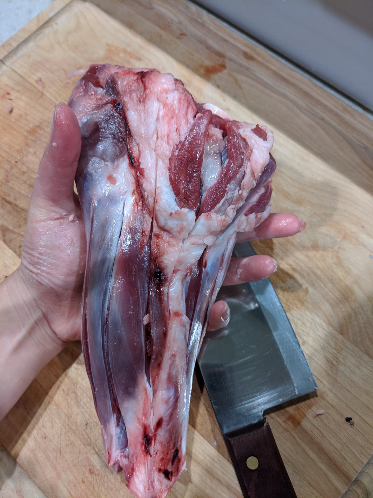 Australian Lamb Shank Dog Chew – Grass-Fed & Pasture-Raised