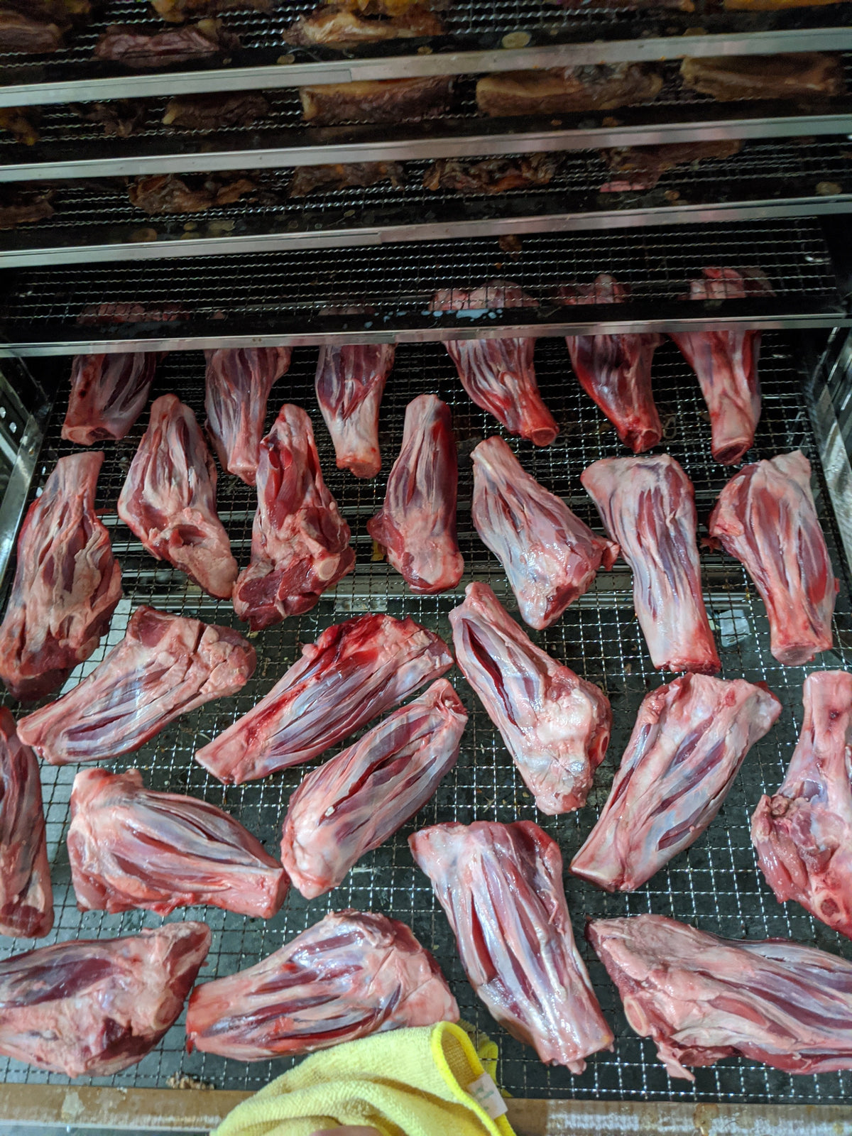 Australian Lamb Shank Dog Chew – Grass-Fed & Pasture-Raised