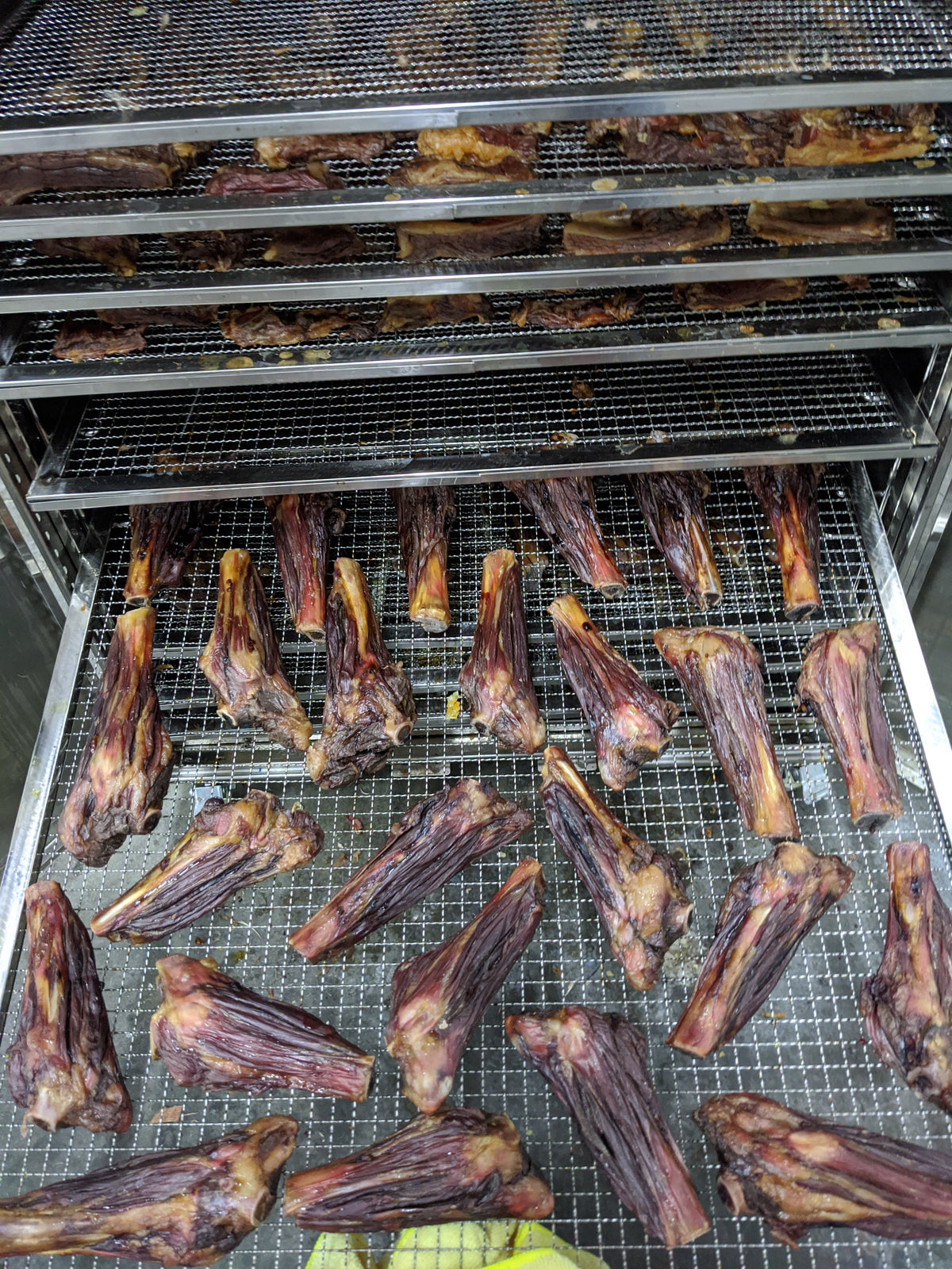 Australian Lamb Shank Dog Chew – Grass-Fed & Pasture-Raised