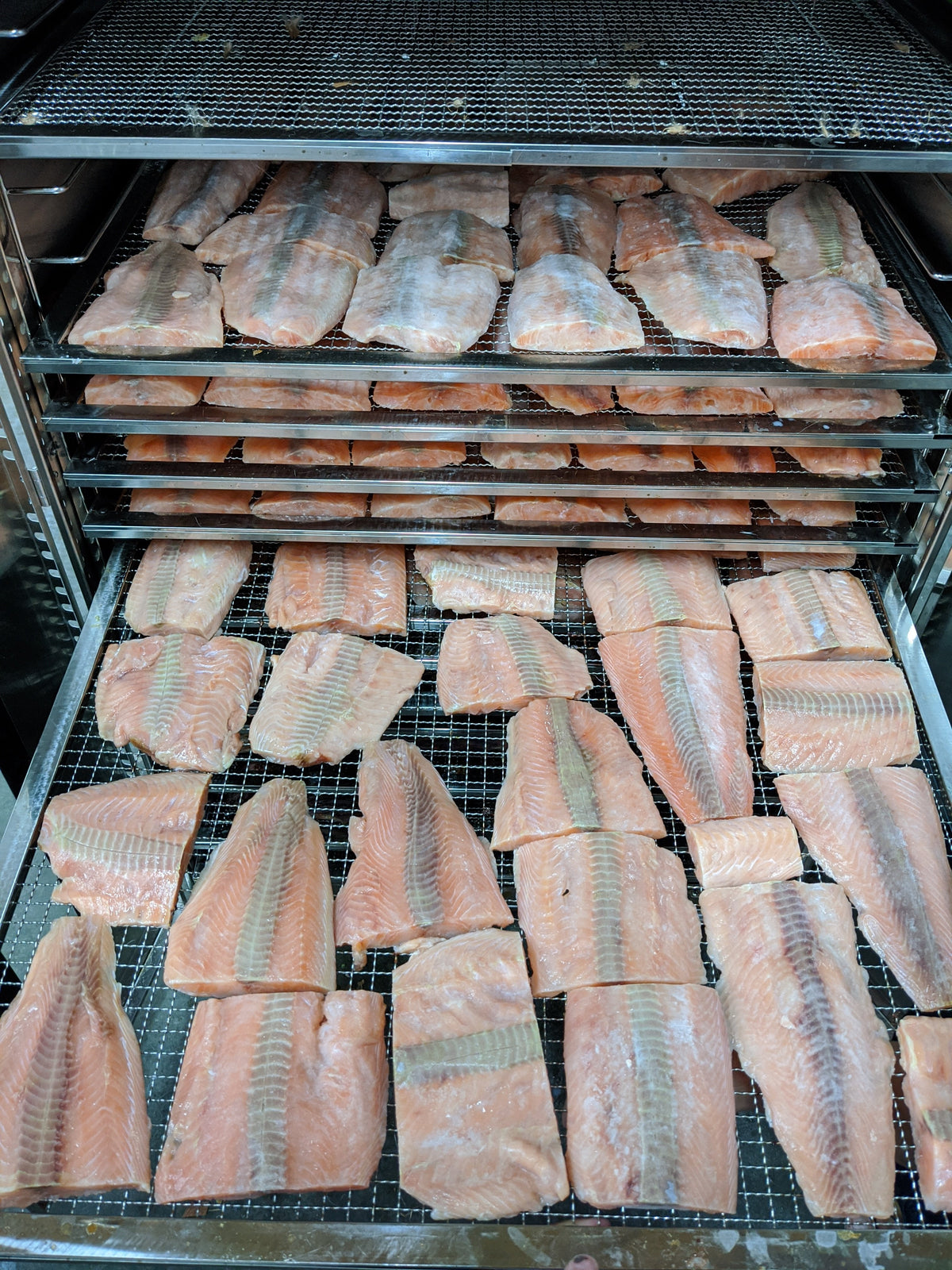 Dehydrated Salmon Fillet Dog & Cat Treats – Omega-3 Rich Single-Ingredient Salmon