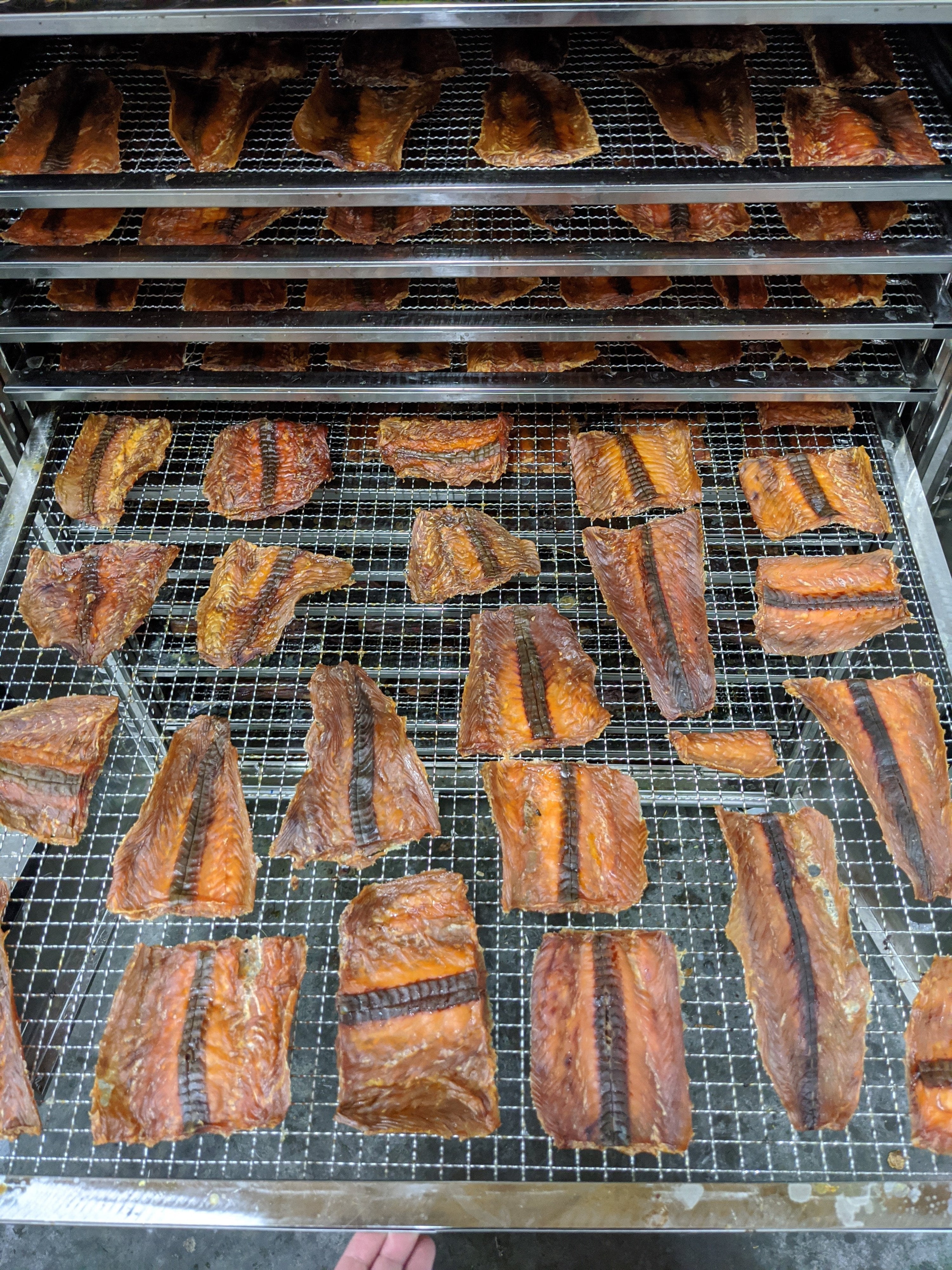 Dehydrated Salmon Fillet Dog & Cat Treats – Omega-3 Rich Single-Ingredient Salmon