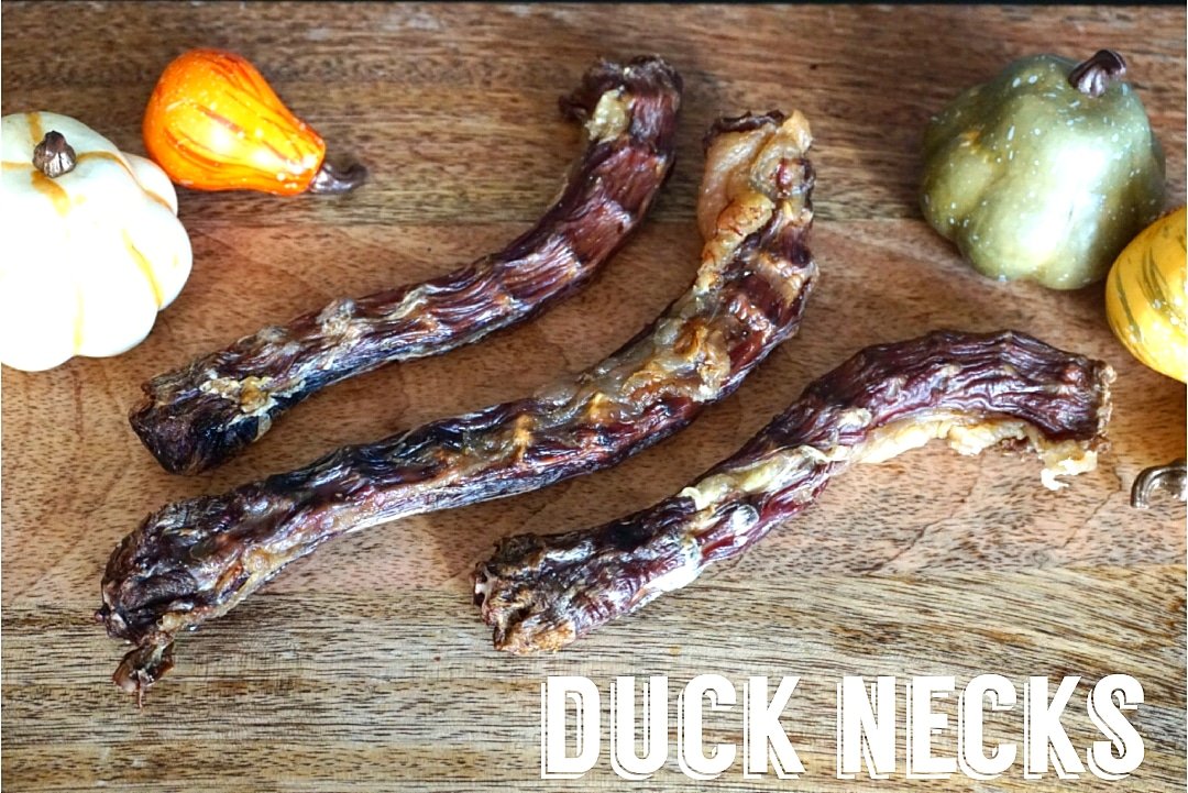 Whole Duck Neck Dog Chews – Natural Single-Ingredient Duck Chew