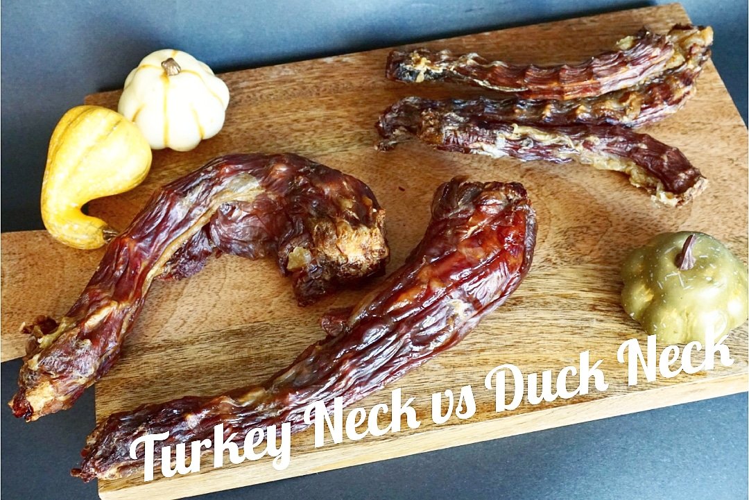 Whole Turkey Neck Dog Chew – Natural Meaty Bone Chew for Dogs