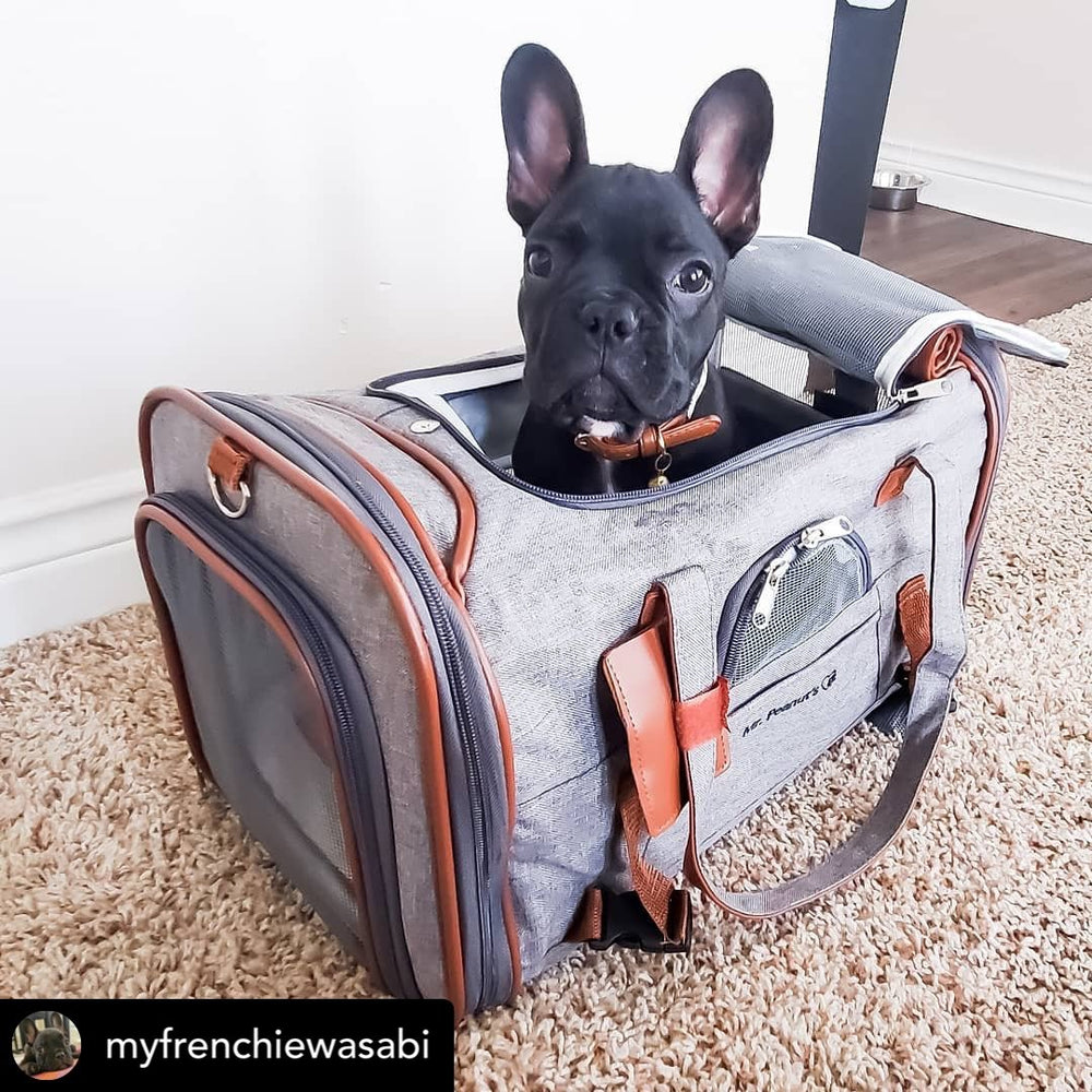Mr. Peanut's Gold Series Airline Approved Pet Carrier – Soft-Sided Travel Tote for Cats & Small Dogs, Fits Under Airline Seats