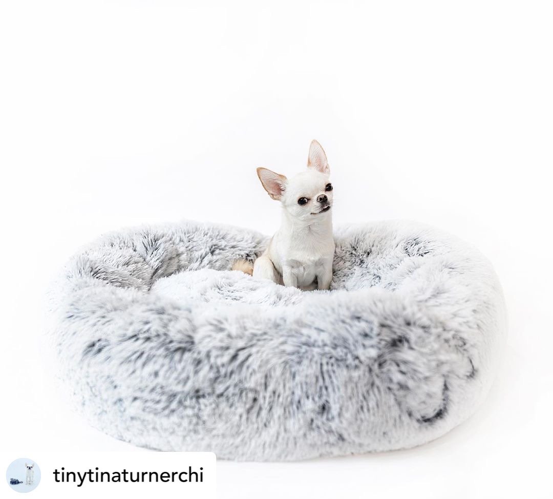 Mr. Peanut’s OrthoPlush® 23" Orthopedic Pet Bed – Luxuriously Soft, Vet-Designed Support for Dogs & Cats